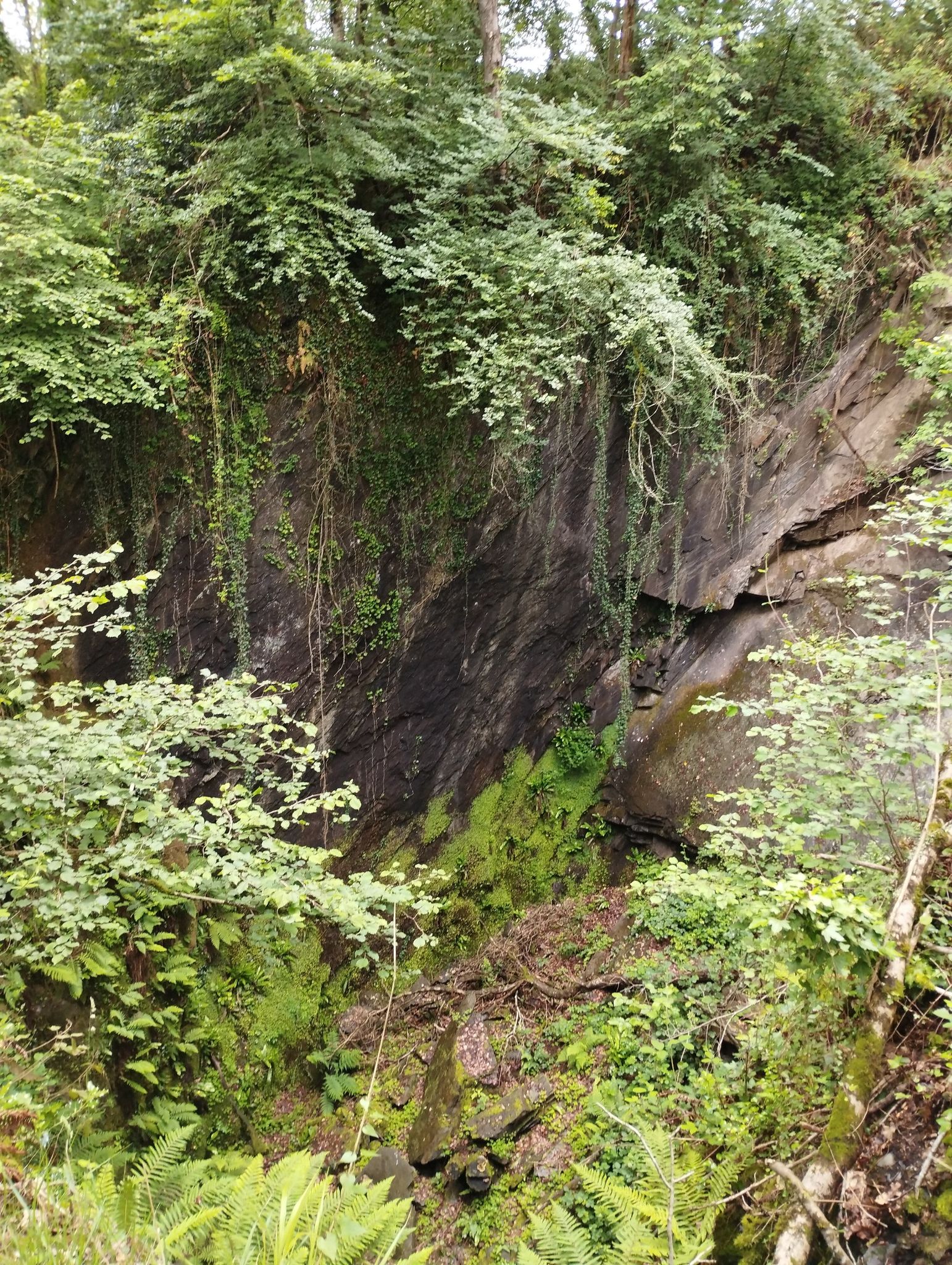 Carrière d'ardoise