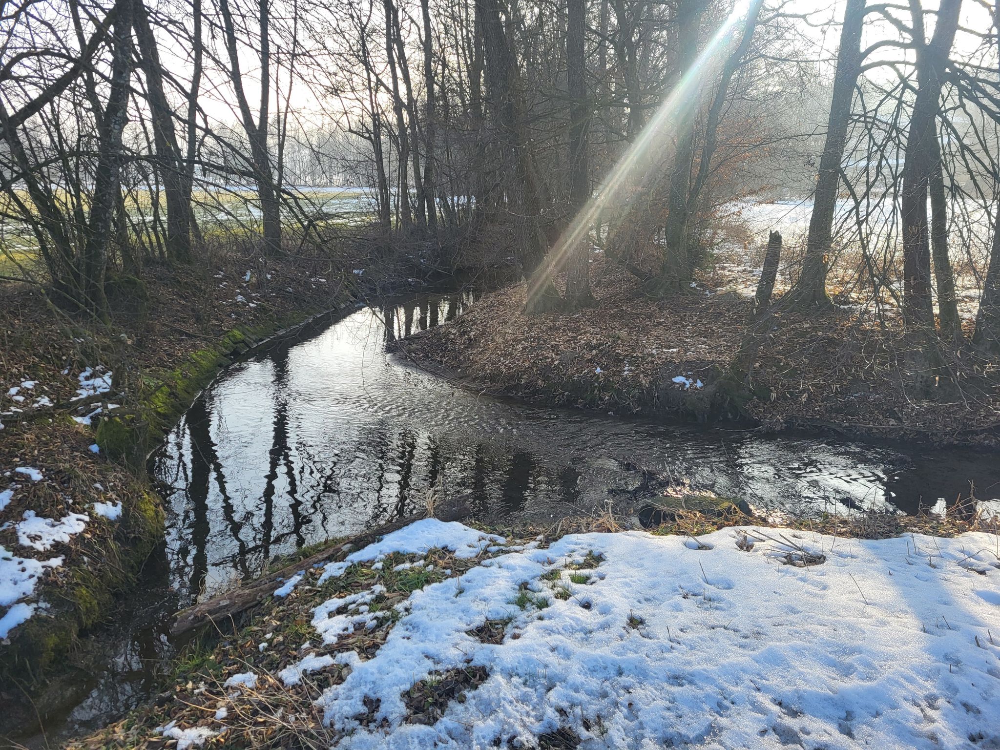 Der Rainbach in Hauzing