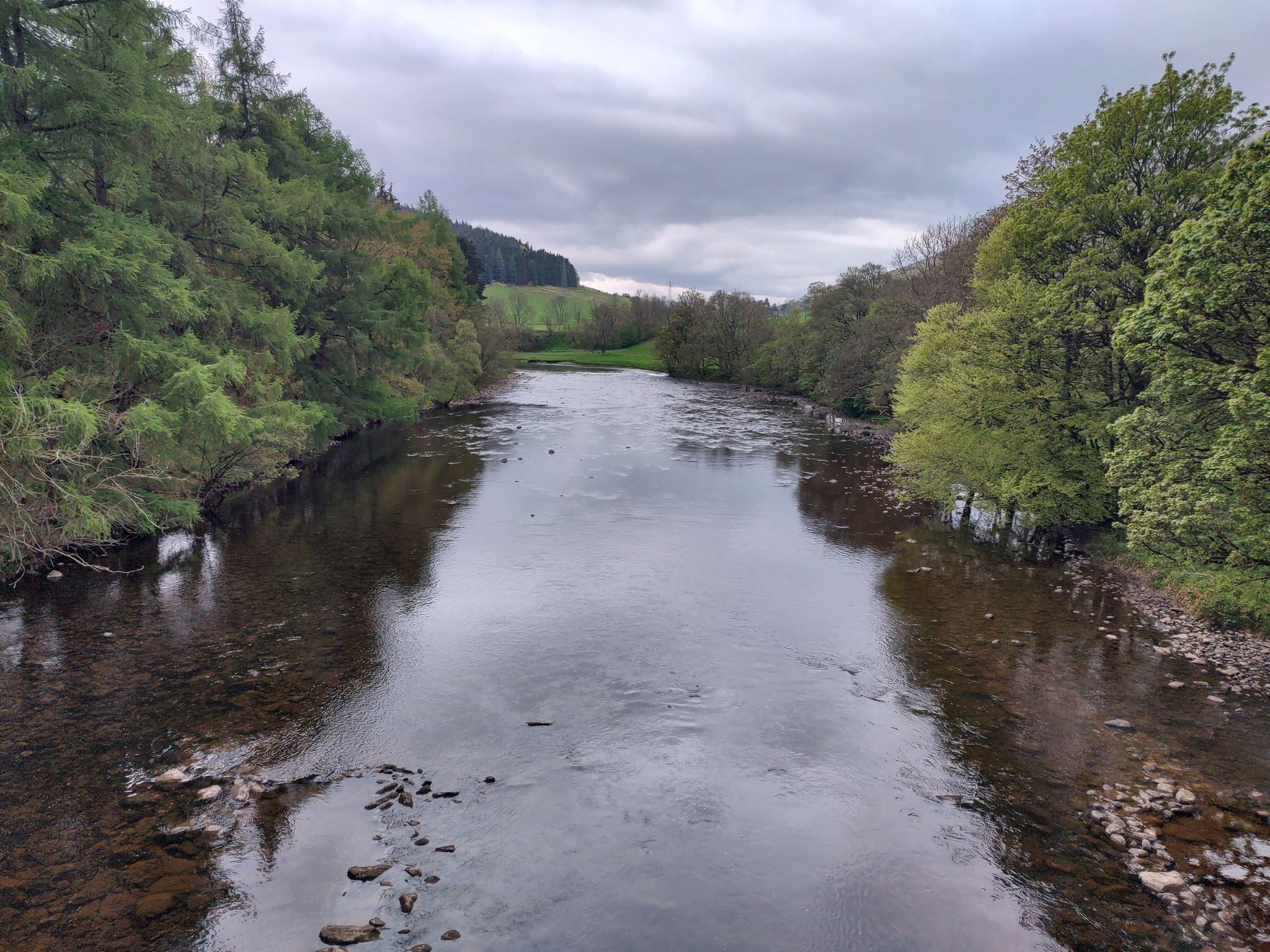 Fortingall Eibe & River Lyon Schleife von Fortingall | Wanderung | Komoot