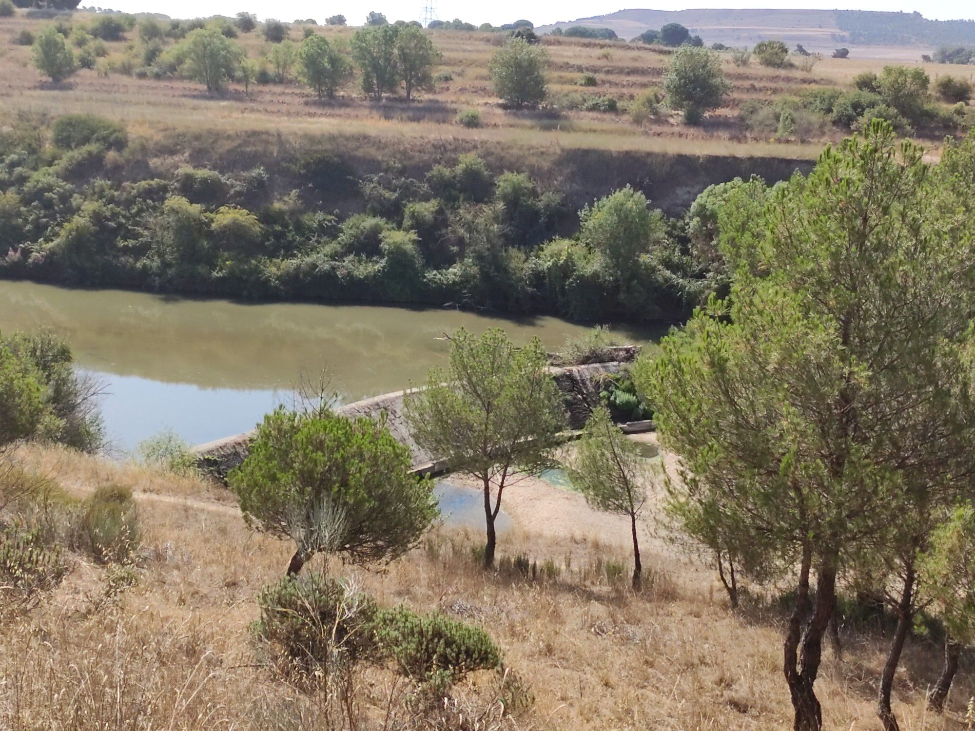 presa Alcazaren