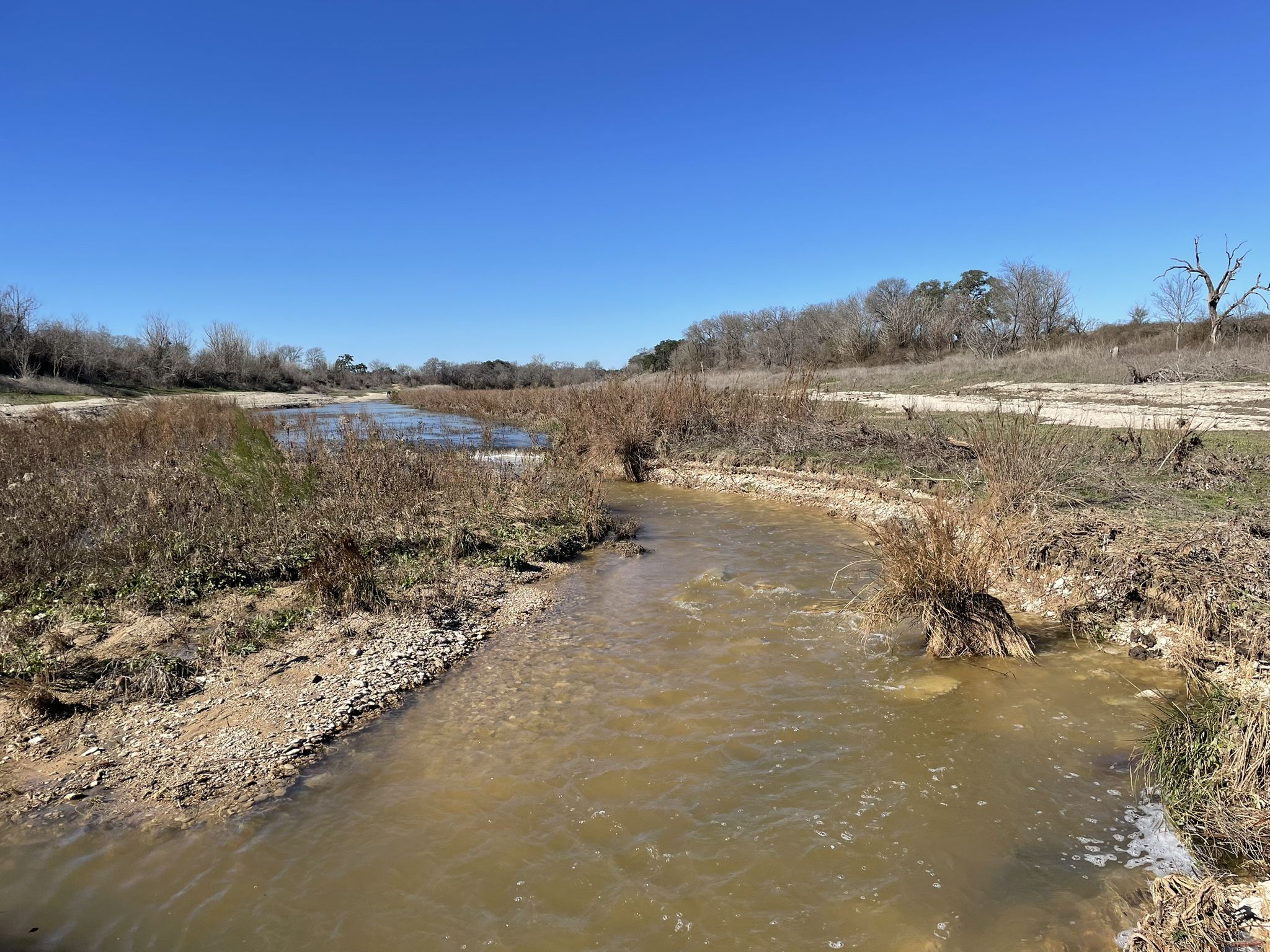 Muddy river winding through dry, sparse landscape under a clear blue sky. - North Fork San Gabriel River – Tejas Park loop from Tejas Park