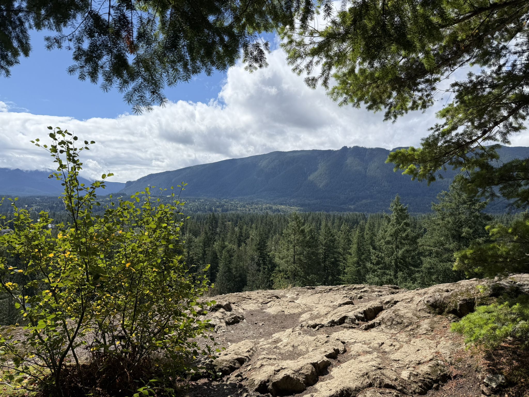 View from a rocky overlook of dense forest and a distant mountain under clouds. - Mount Si, Blowdown and Teneriffe Loop