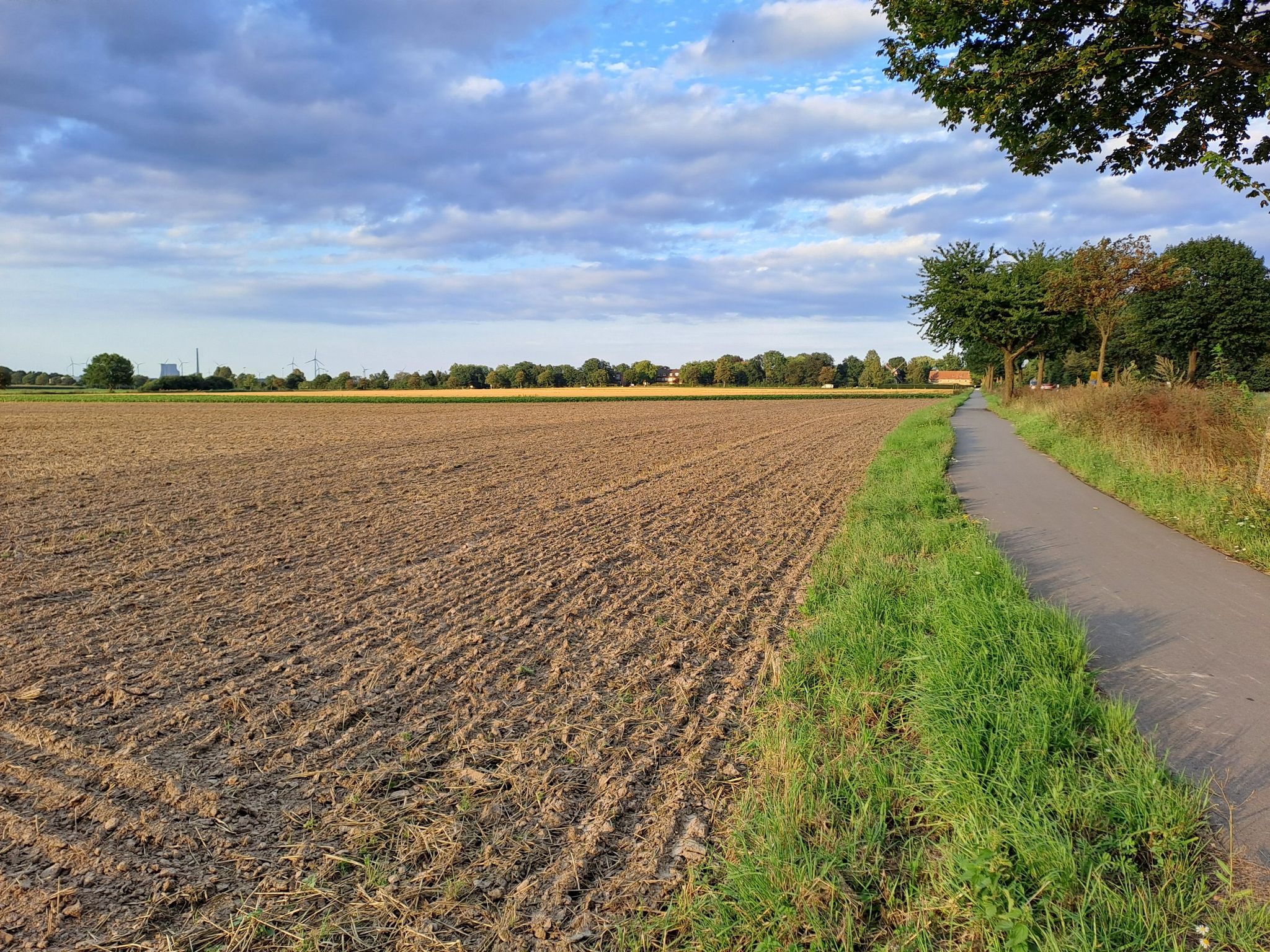 B494: Fahrradweg nach Hohenhameln
