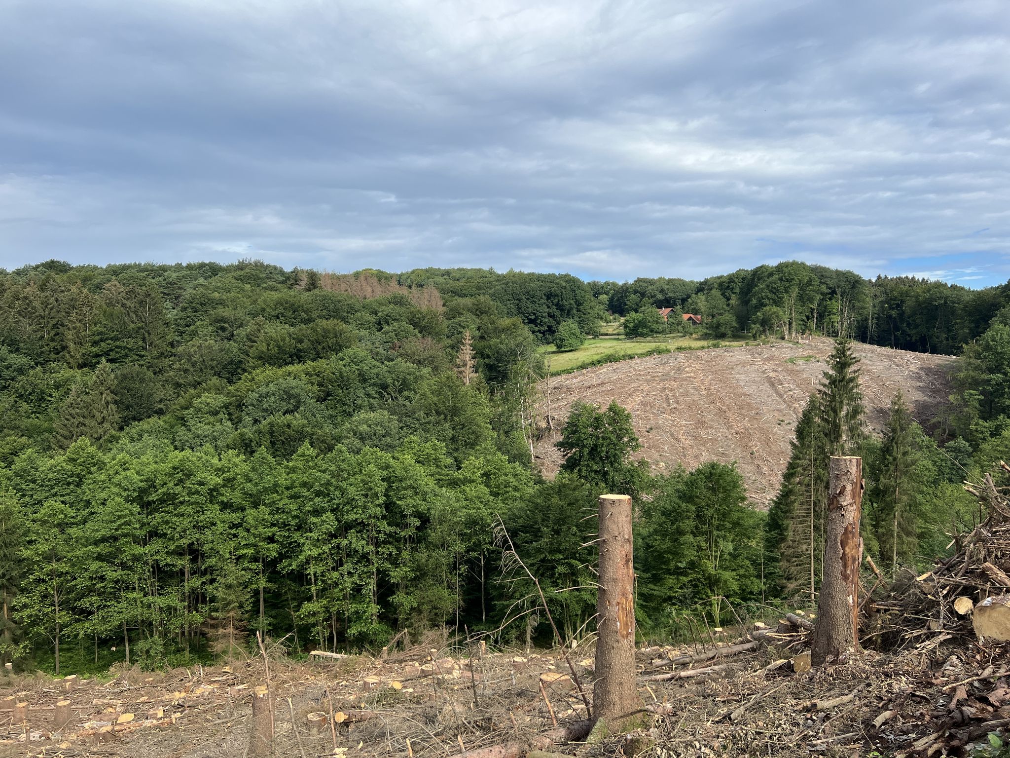 Frenkhauser Bachtal