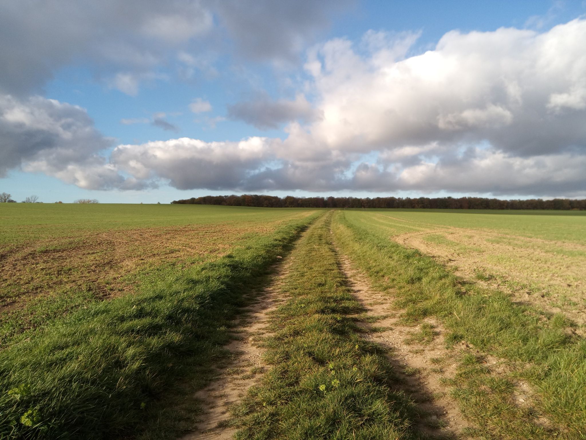 Wunderbare Alternativweg von Isserstedt nach Kleinromstedt.