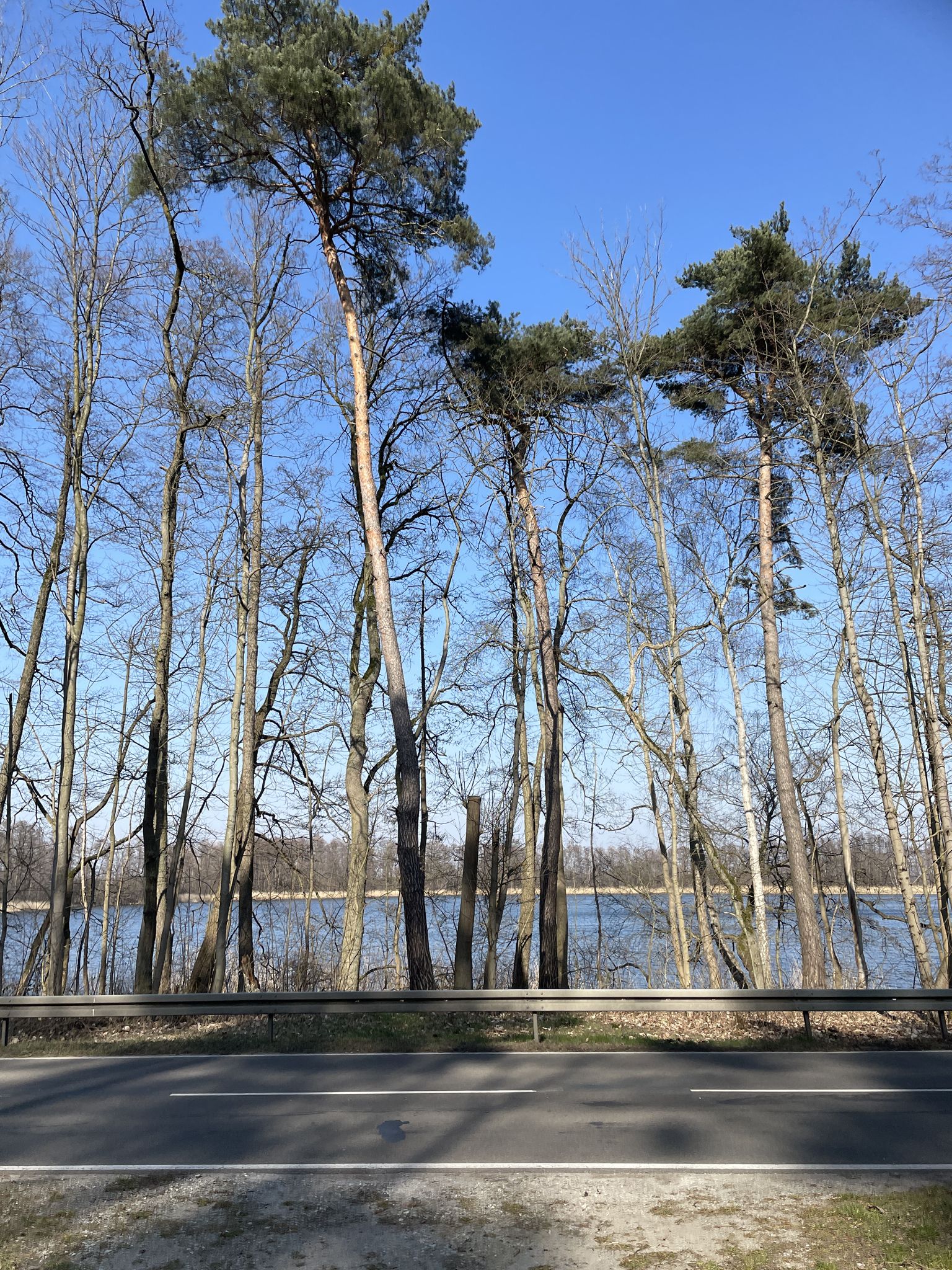 Görensee 
