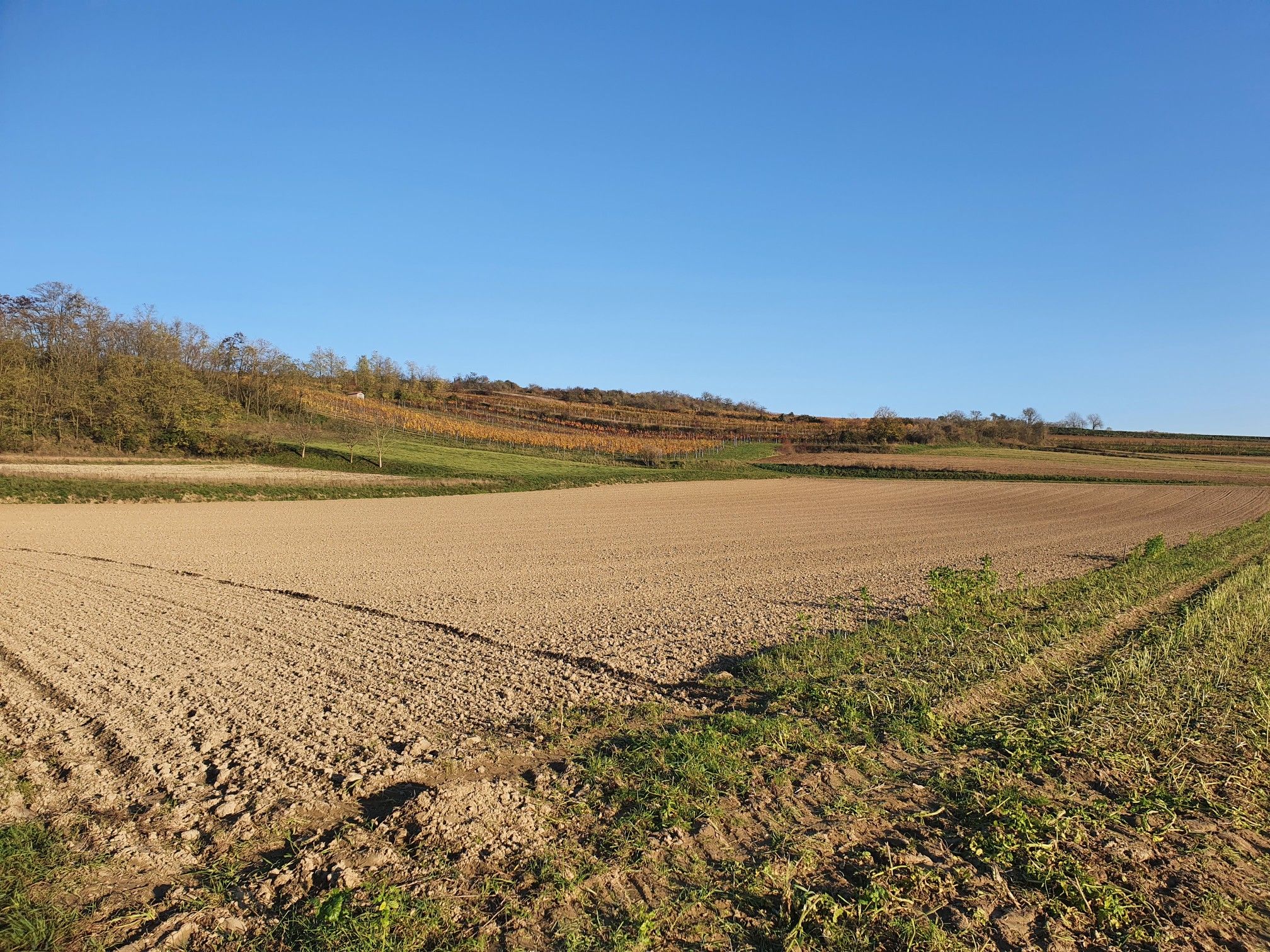 Naturpfad HoRu 31