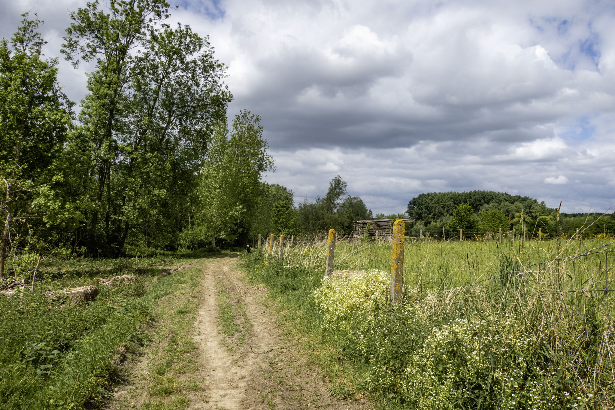 Over een hobbelige wegel in Cotthem