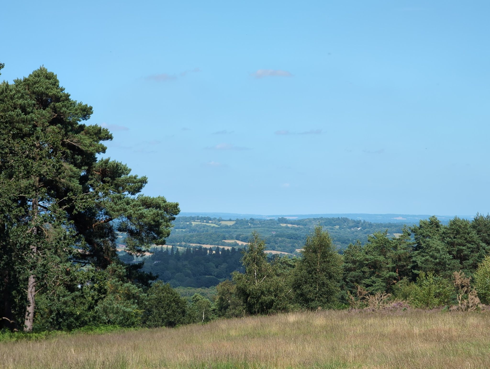 view from Ashdown forest