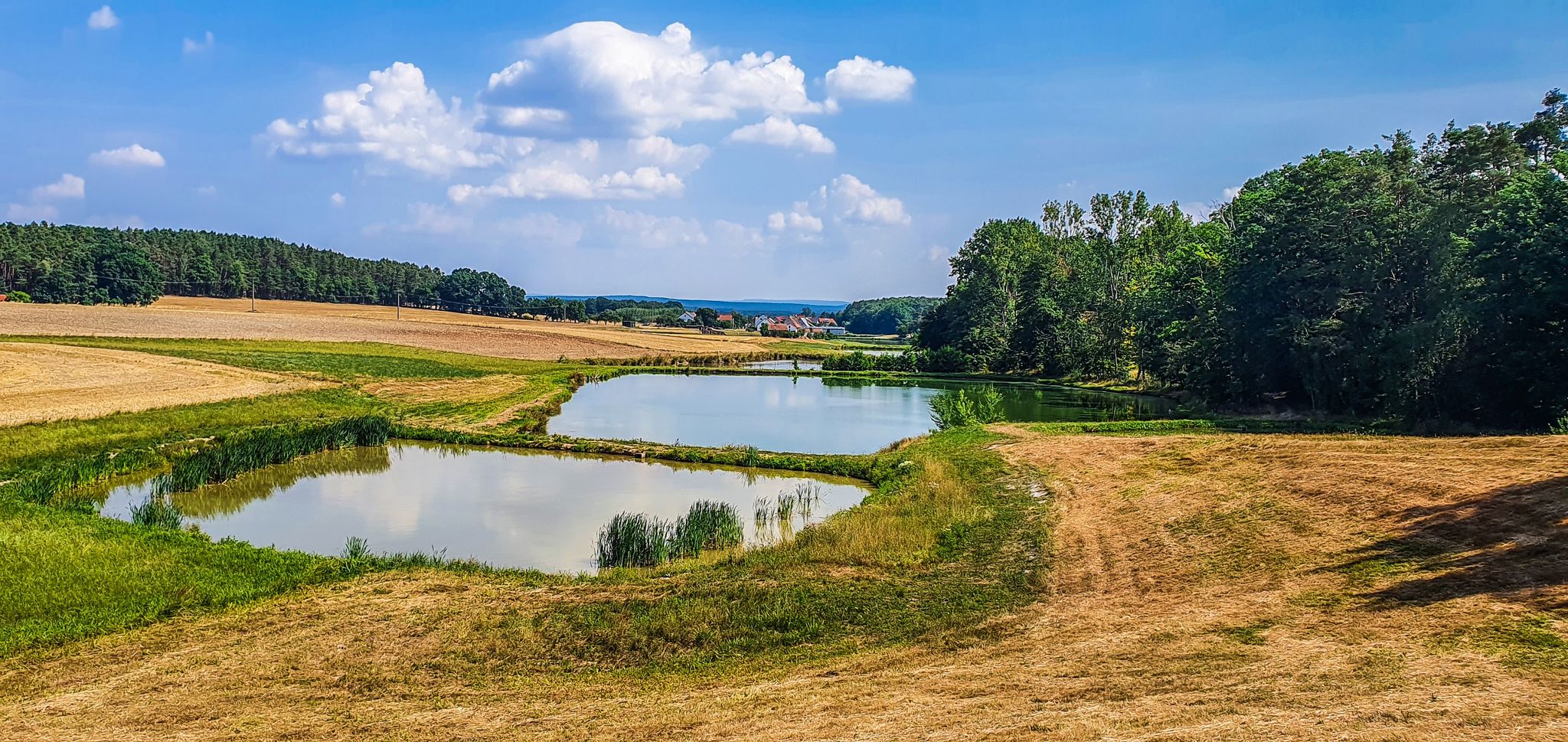Unsere Teichlandschaft