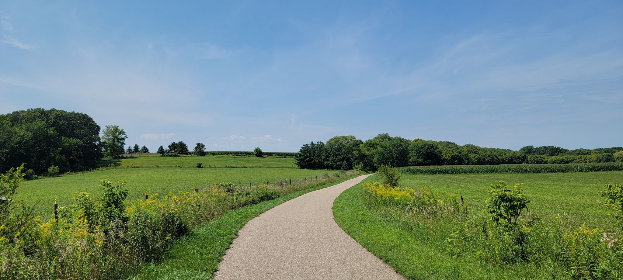 Paved path winding through vibrant green fields under a clear blue sky. - Schaar's Bluff Trail – Spring Lake Park Reserve loop from Practice Green