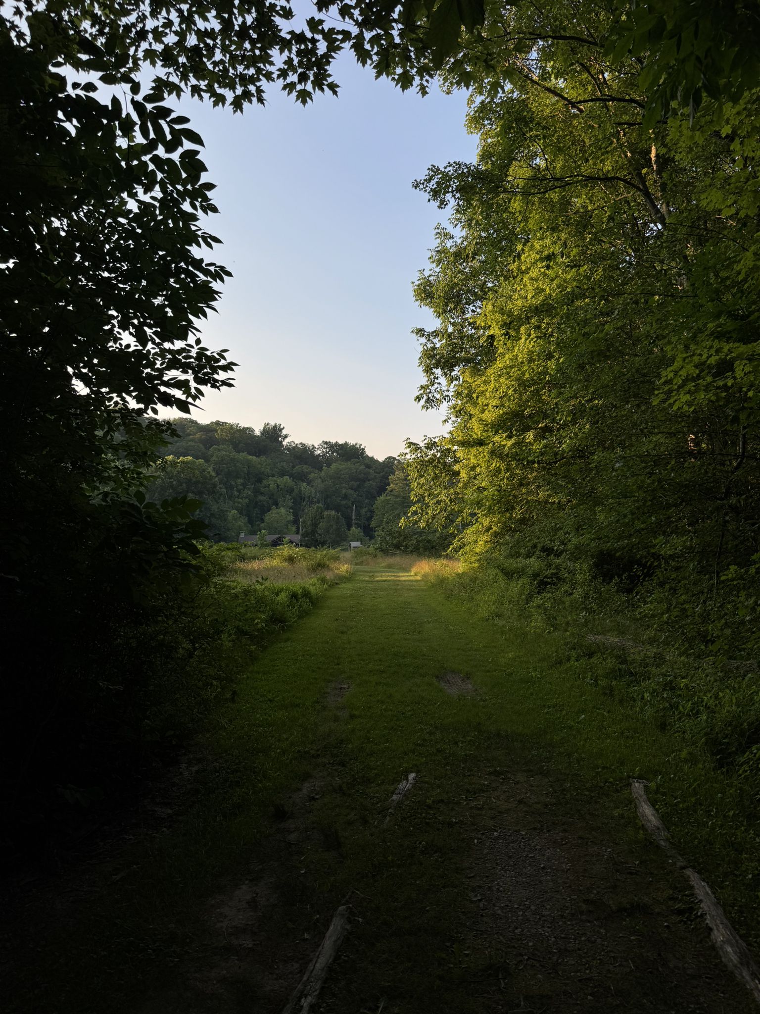 Grassy path leading into a sunlit clearing, framed by dark forest. - Squire's Castle loop from North Chagrin Reservation