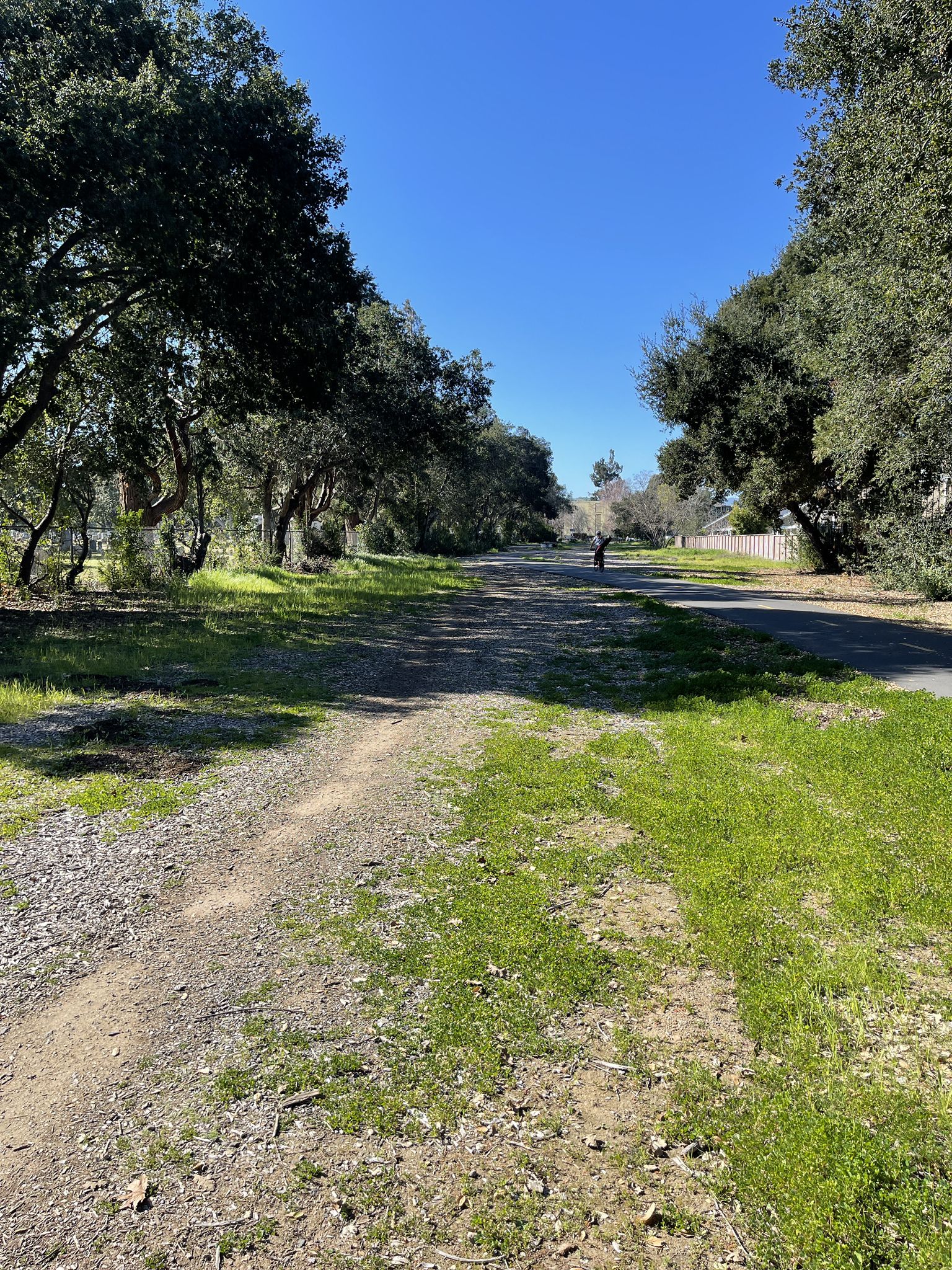 A sunny dirt path alongside a paved road, bordered by green trees. - Alta Mesa Memorial Park – Palo Alto-Los Altos Bike Path loop from San Antonio Shopping Center