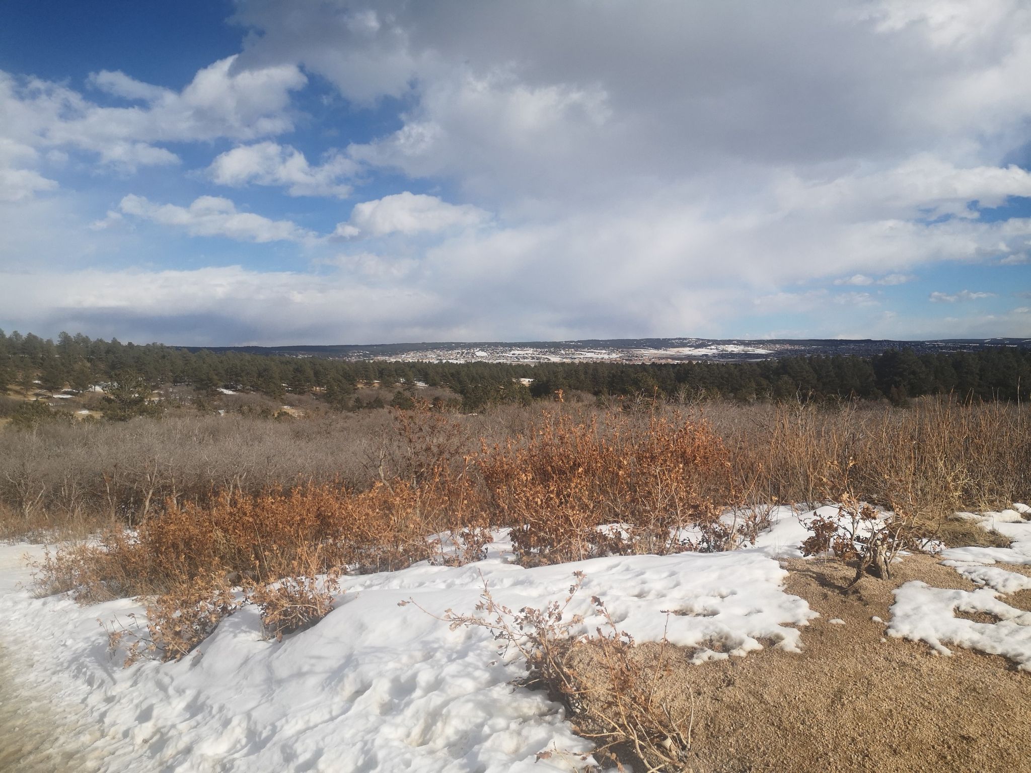 Winter landscape with snow, brown bushes, distant forest, and cloudy sky. - Monument Rock loop from Monument Rock