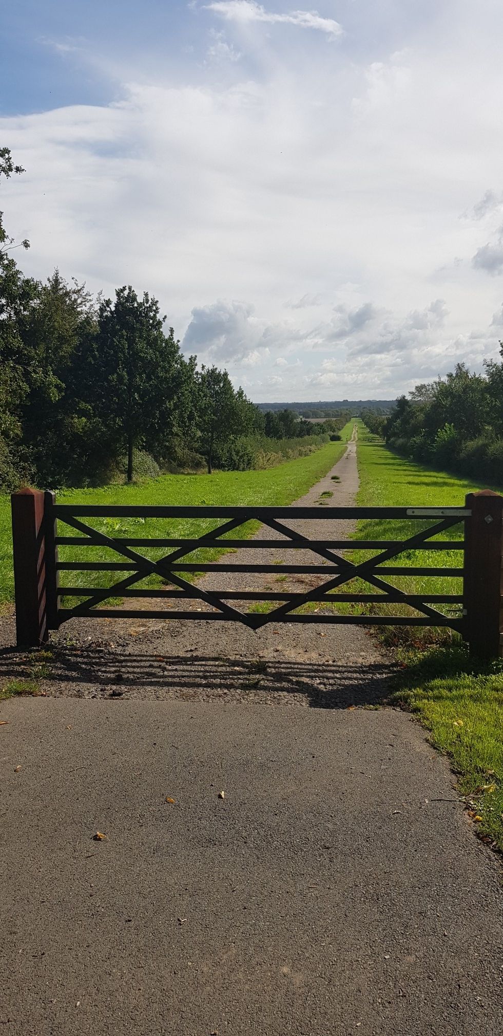 Alley way ahead