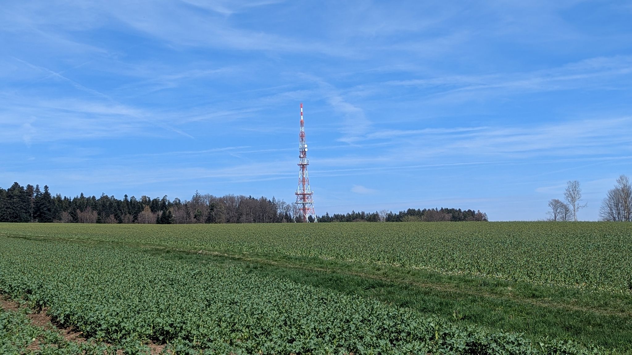 Sendemast bei Langenbrand