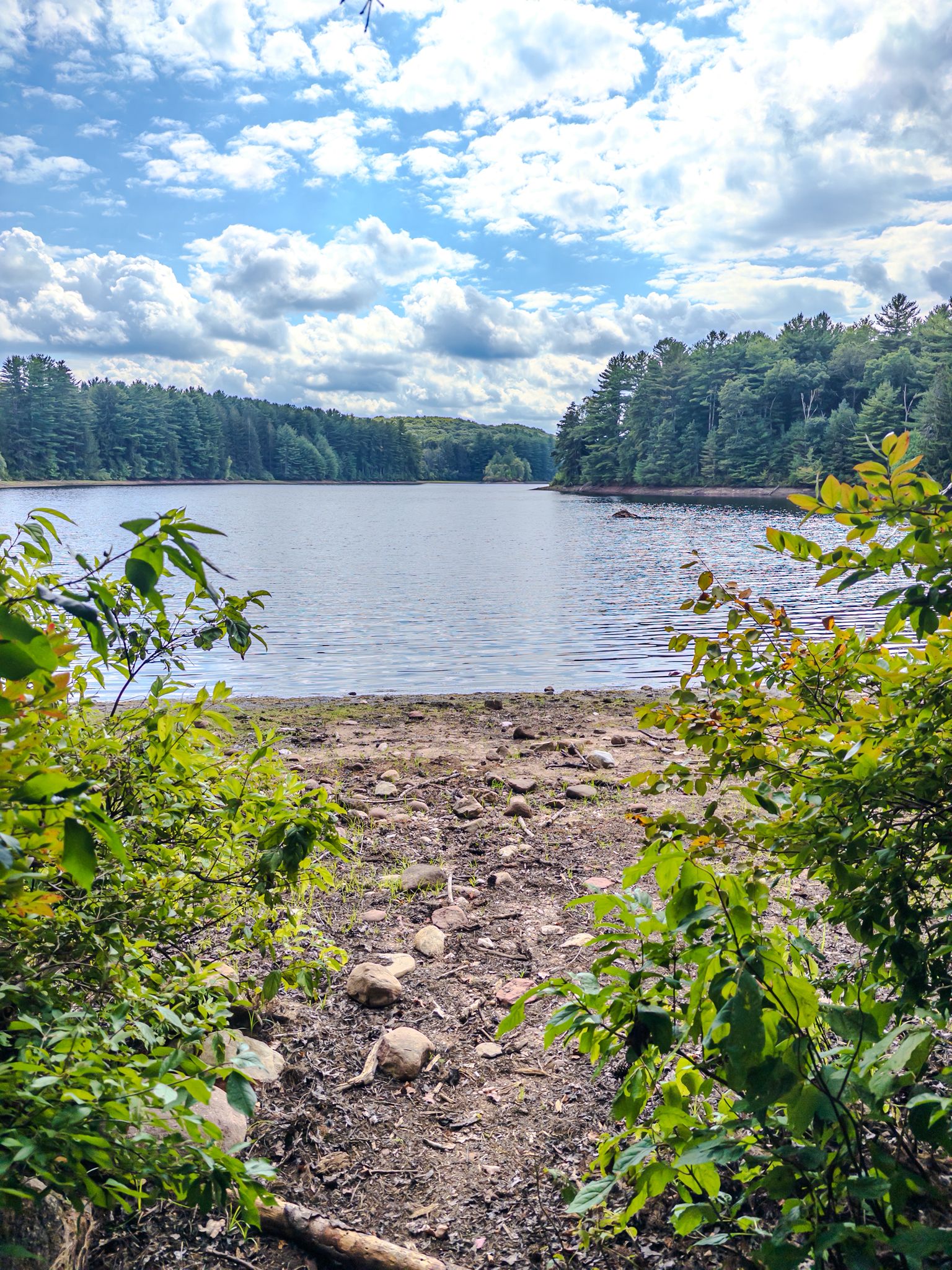 Wide lake view through green foliage under a bright, cloudy sky. - Buckingham Reservoir Trail