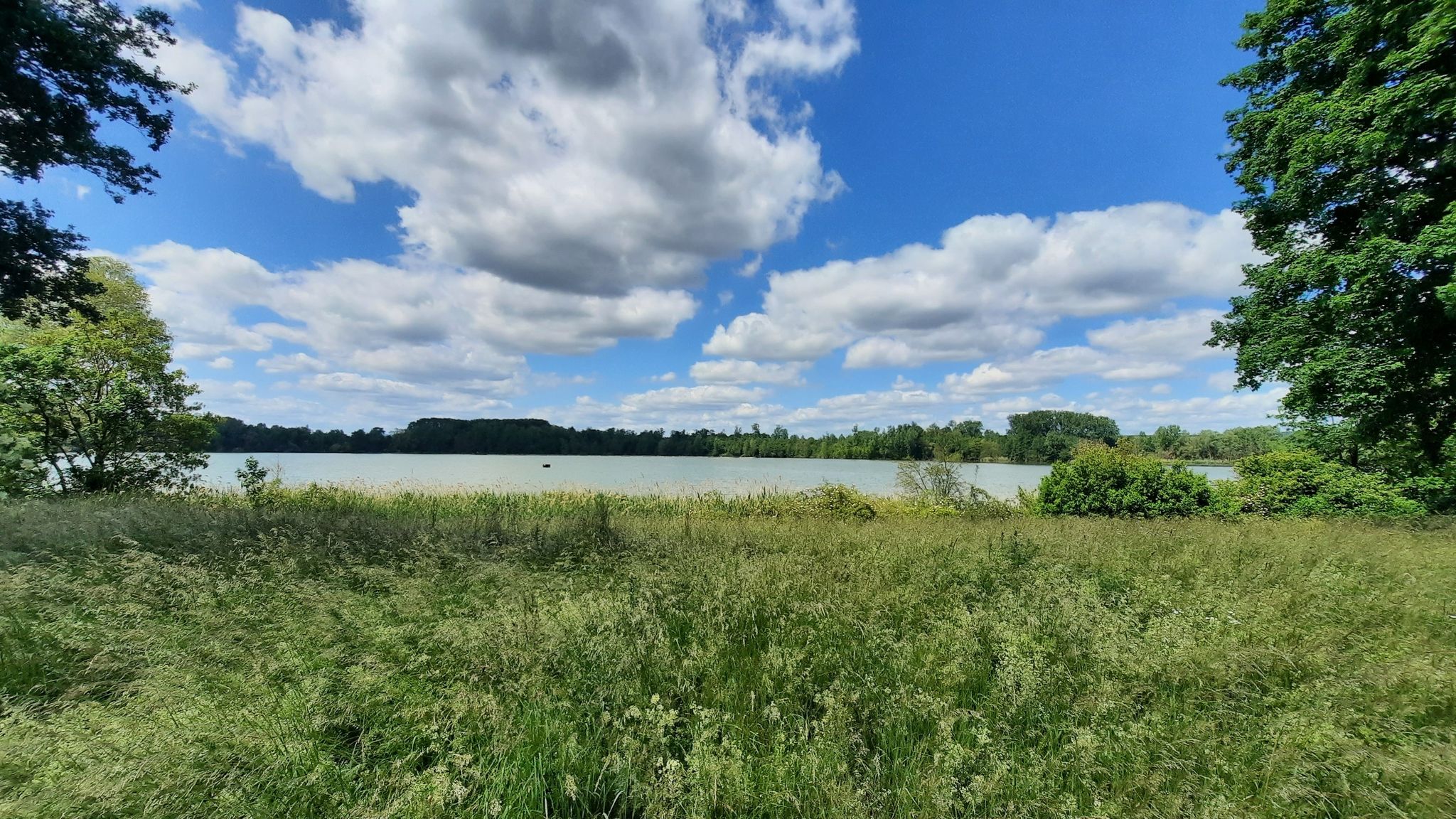Östliches Ufer Wölfersheimer See nahe Parkplatz