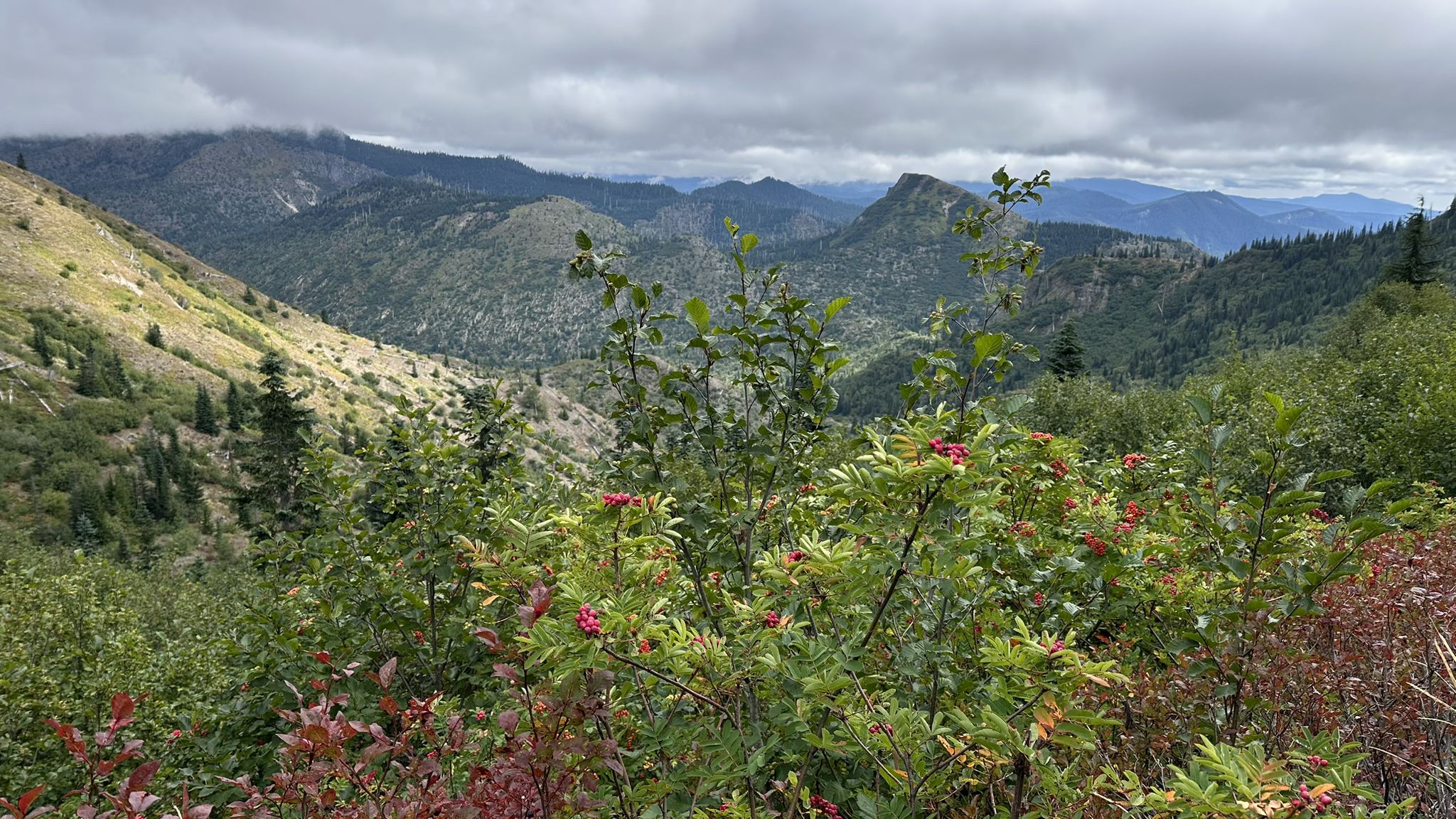 Forested mountain landscape with green and red foliage under a cloudy sky. - Norway Pass via Boundary Trail