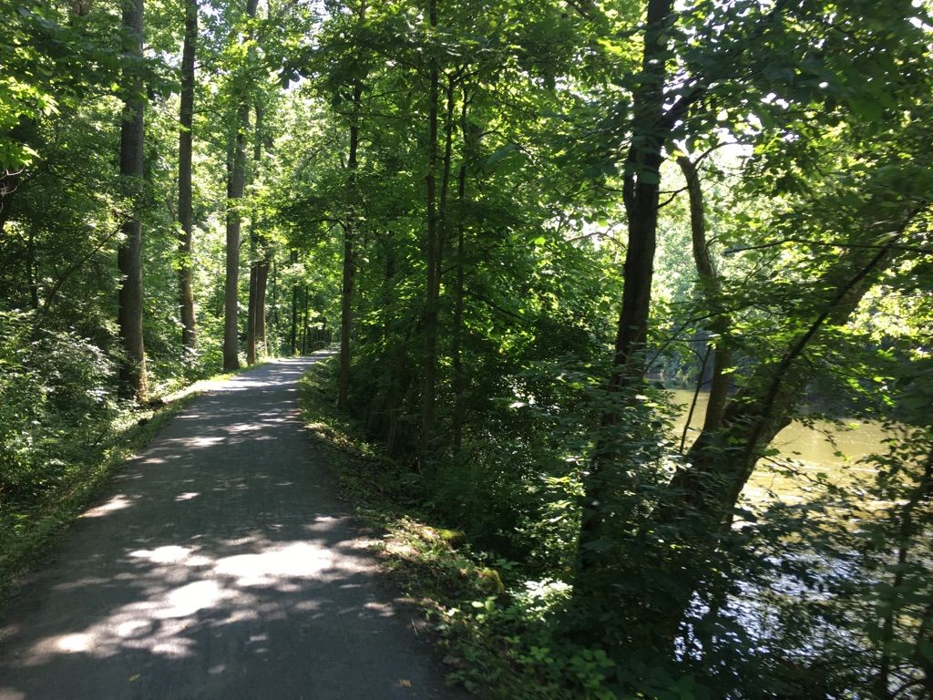 Sunny paved path through a green forest, alongside a calm body of water. - Union Canal Trail Loop