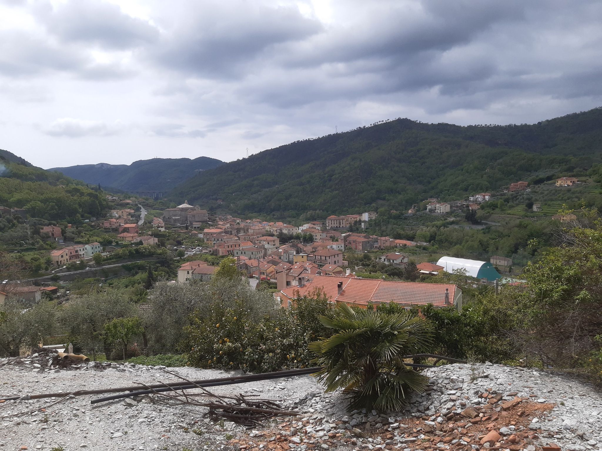 Calice