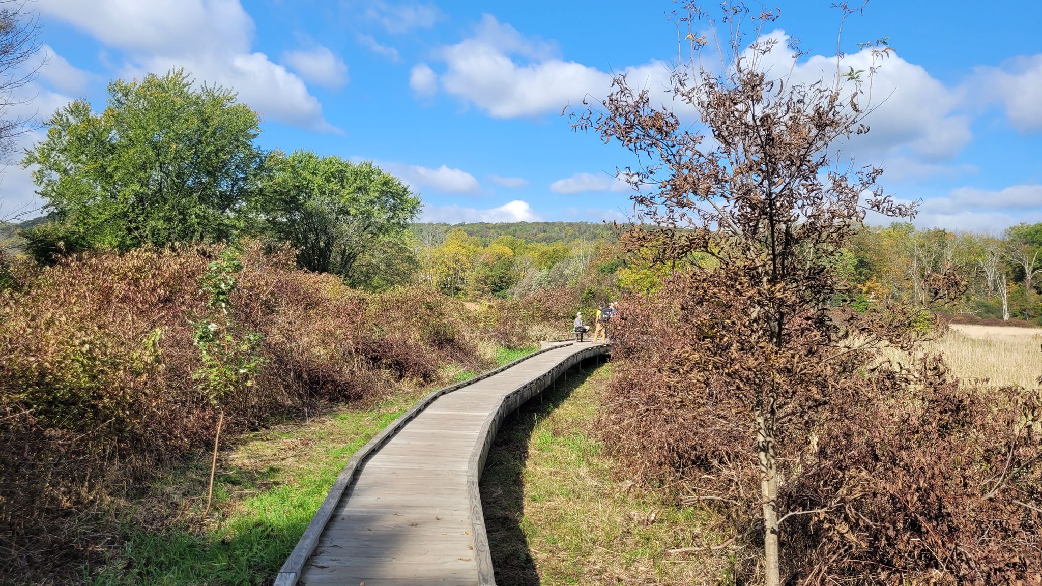 Two people walk on a winding boardwalk through autumn foliage under a sunny sky. - Wallkill and Vernon Valleys via Appalachian Trail