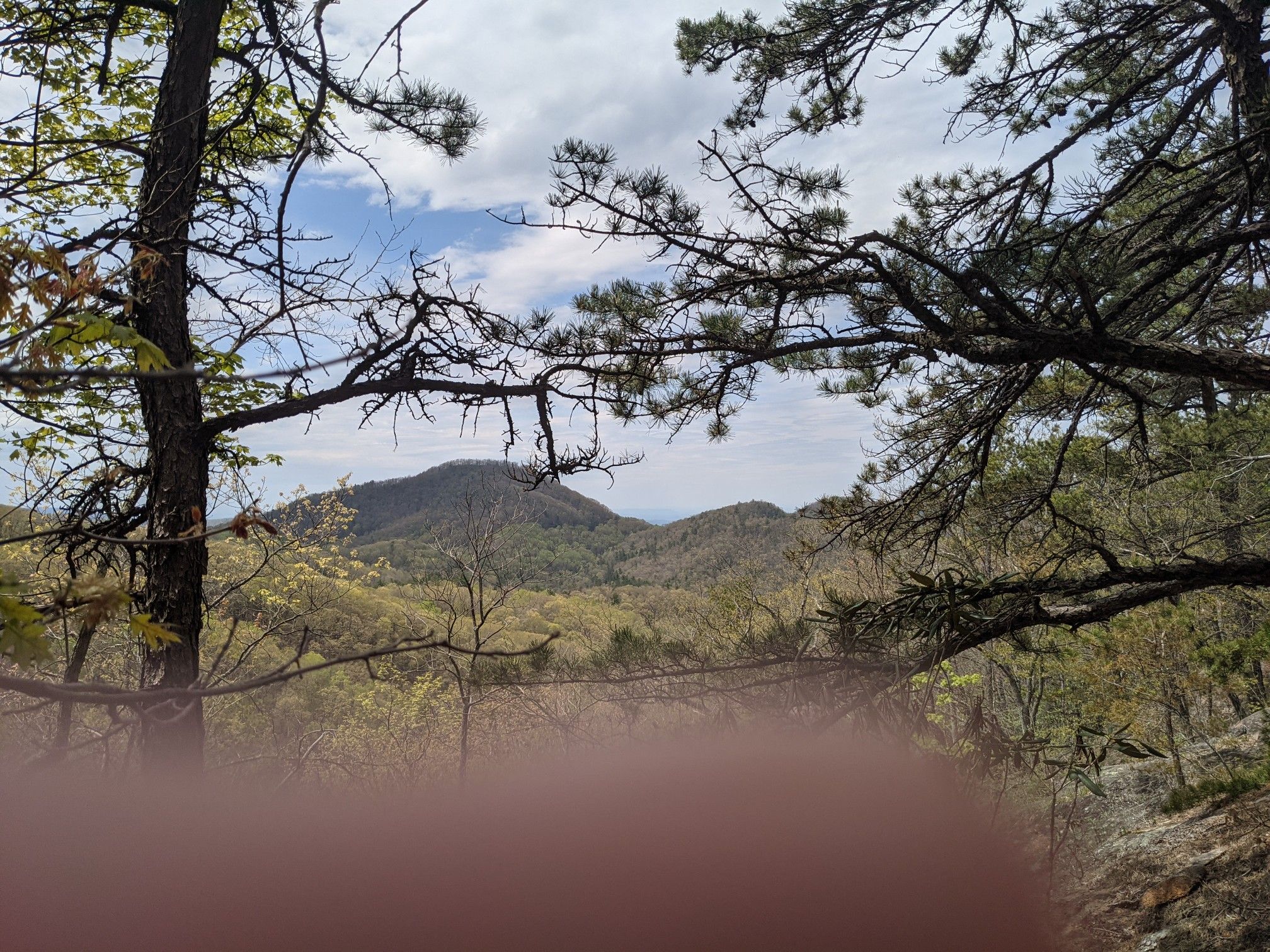 Distant forested mountains under a cloudy sky, framed by tree branches. - Coon Den Falls and Appalachian Trail Loop