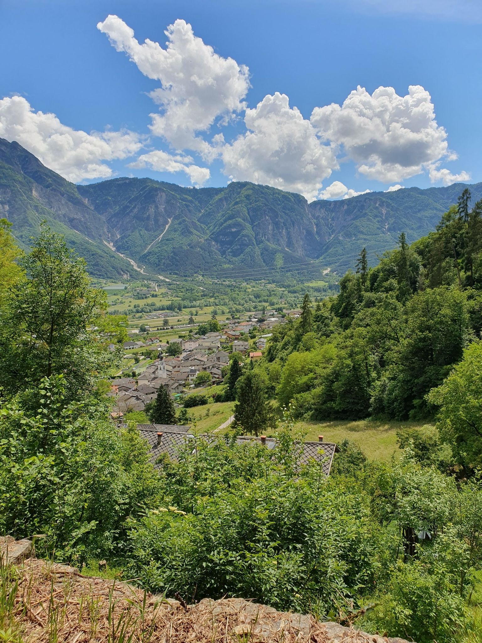selva di levico