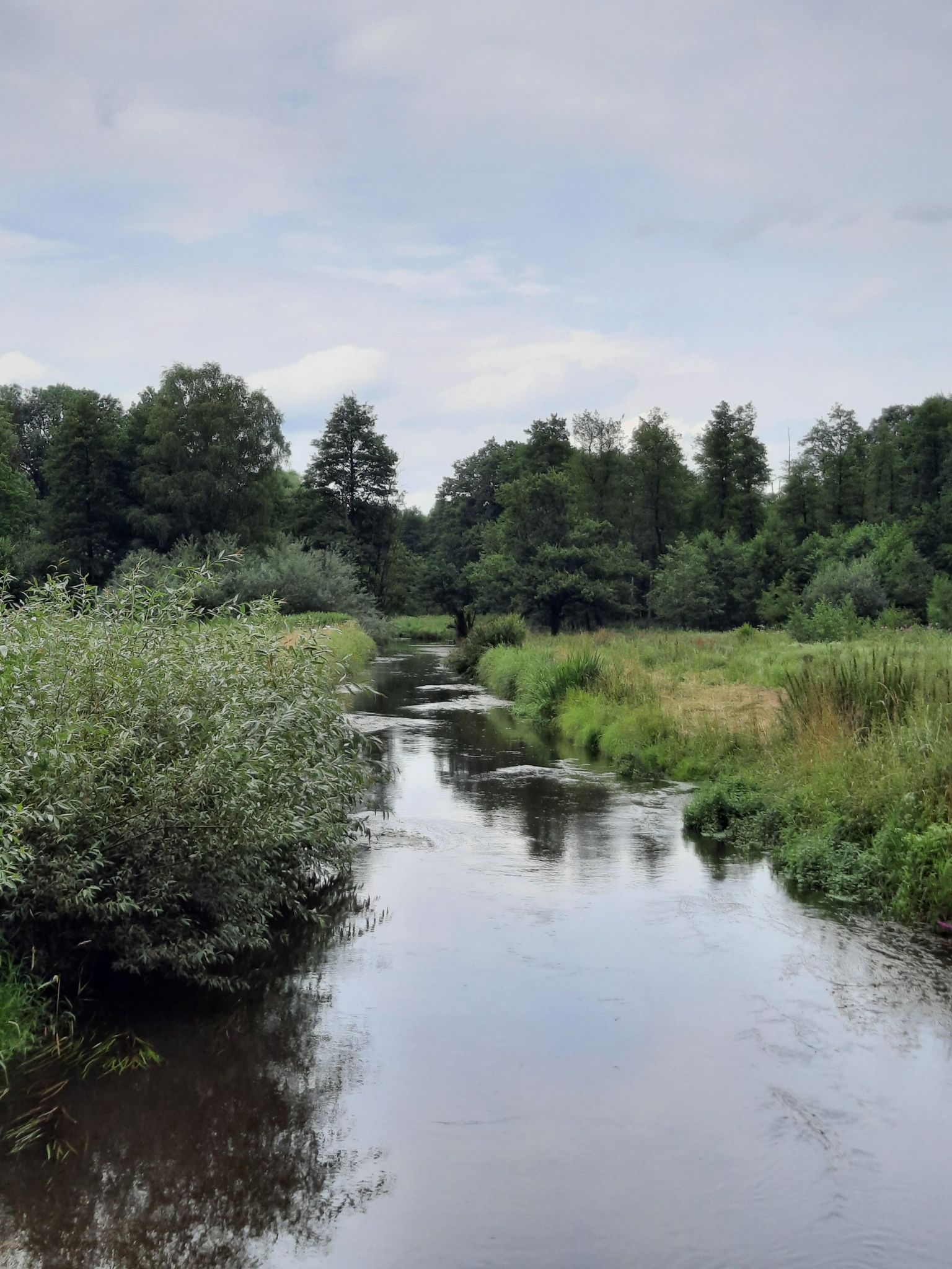 die Böhme bei Mengebostel