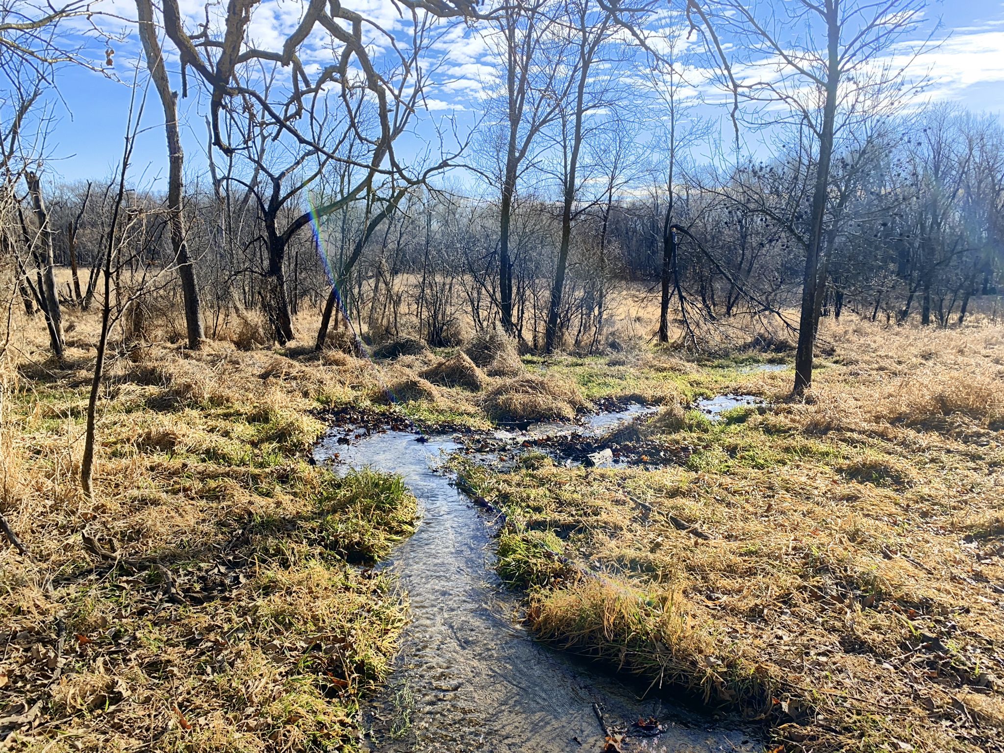 Small stream winding through golden grass and bare trees under a blue sky. - View of the Minnesota River – Hand-Pulled Bike Ferry loop from John F. Kennedy High School