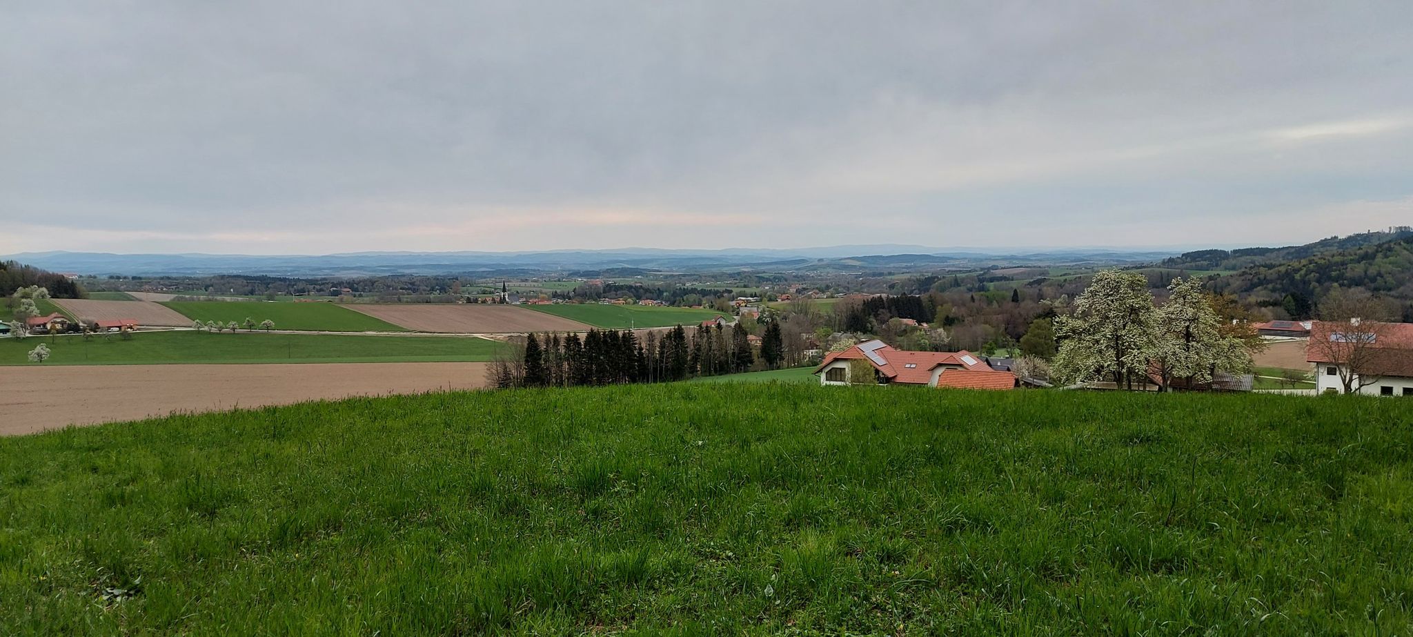Blick ins Mühlviertel v. Geboltskircher Wwaldesrand