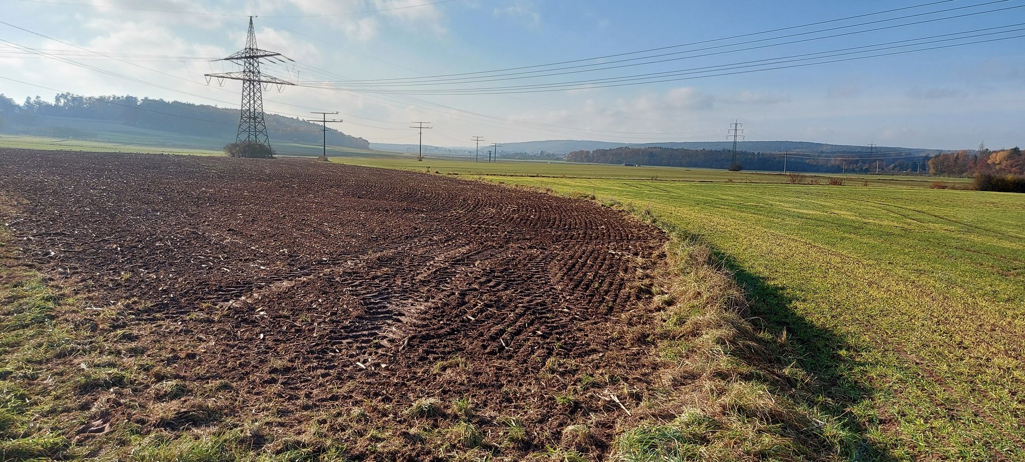 Der Bibertgrund