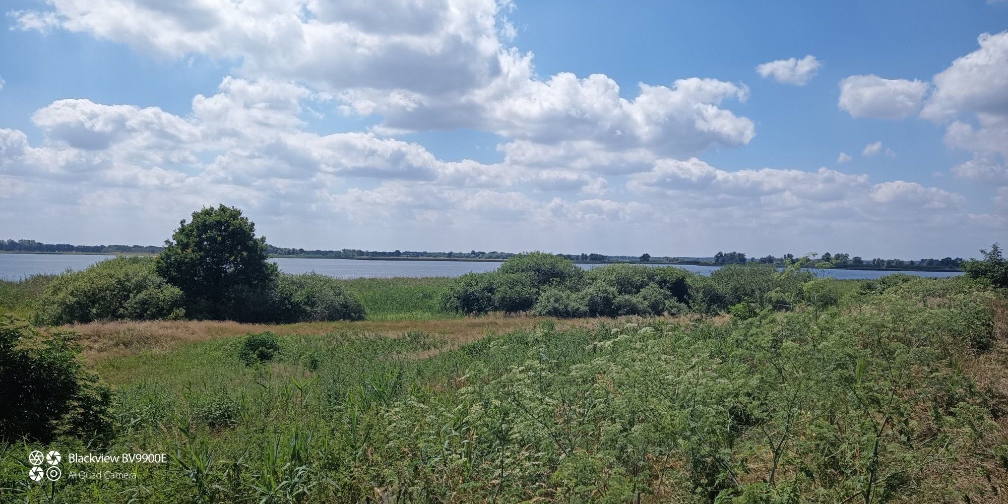 Gülper See