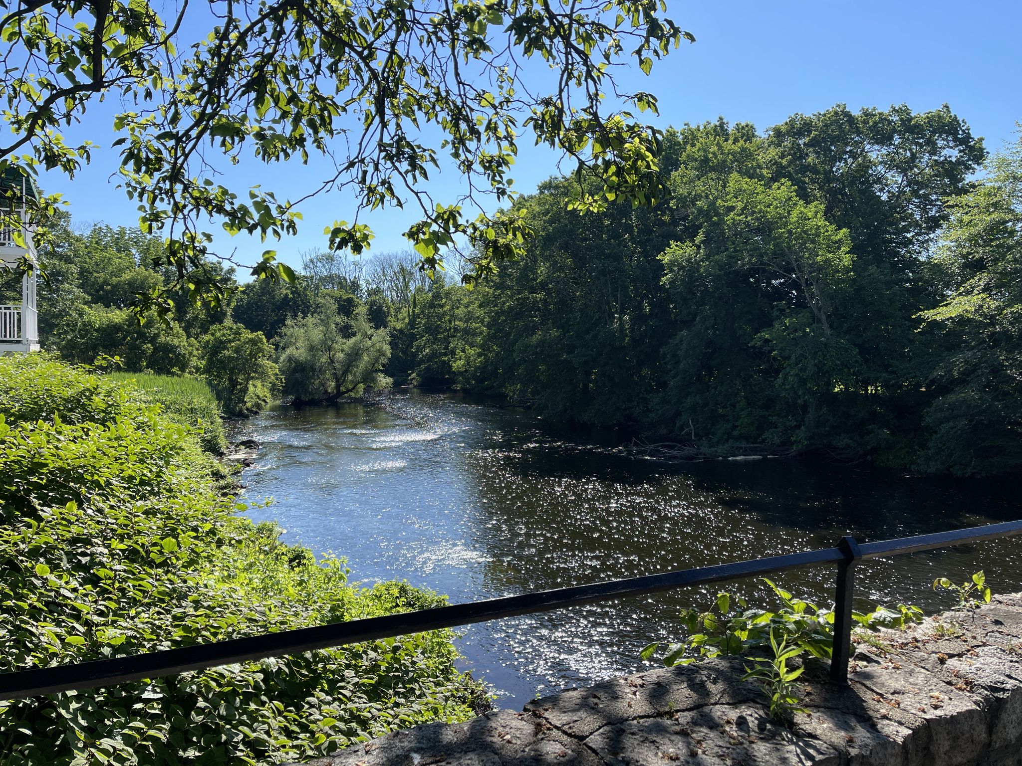 Sunny river view from a stone wall, surrounded by green trees. - Charles River Dam and Weir – South Natick Dam and Park loop from Natick Center