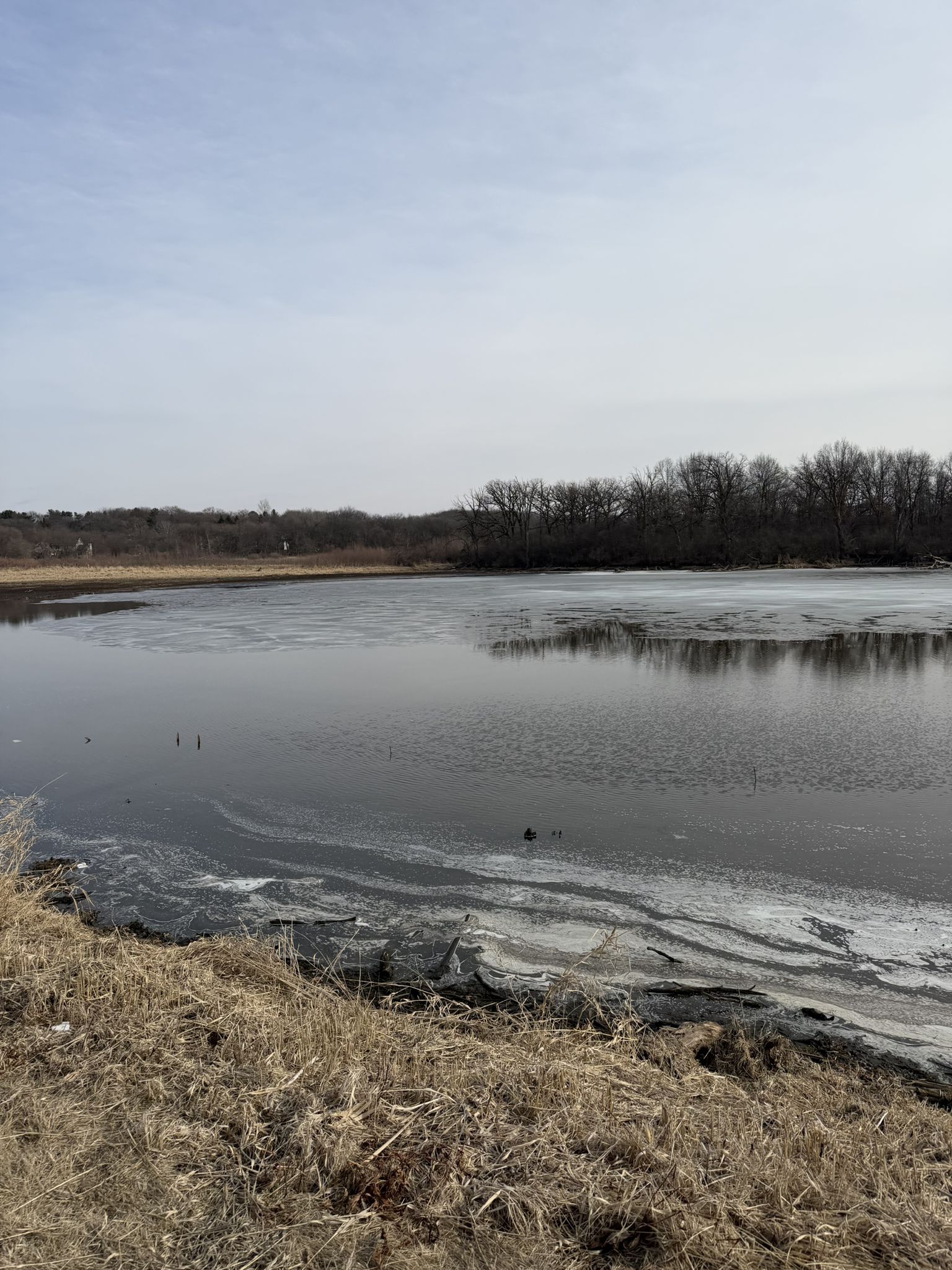 Partially frozen lake with icy edges and bare trees under a cloudy sky. - Goose Lake – Quarry Ridge Recreation Area loop from Mount Horeb