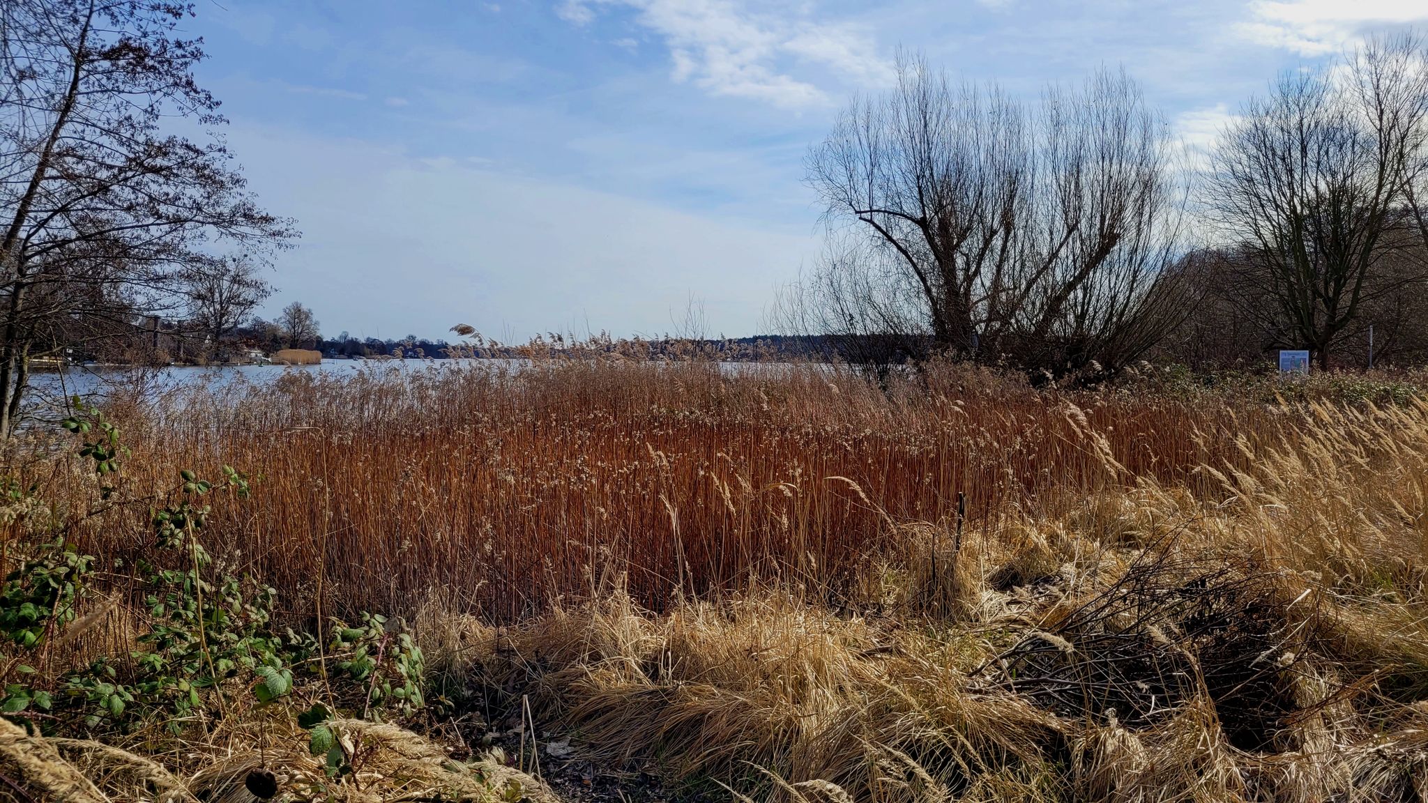 Blick zur Havel