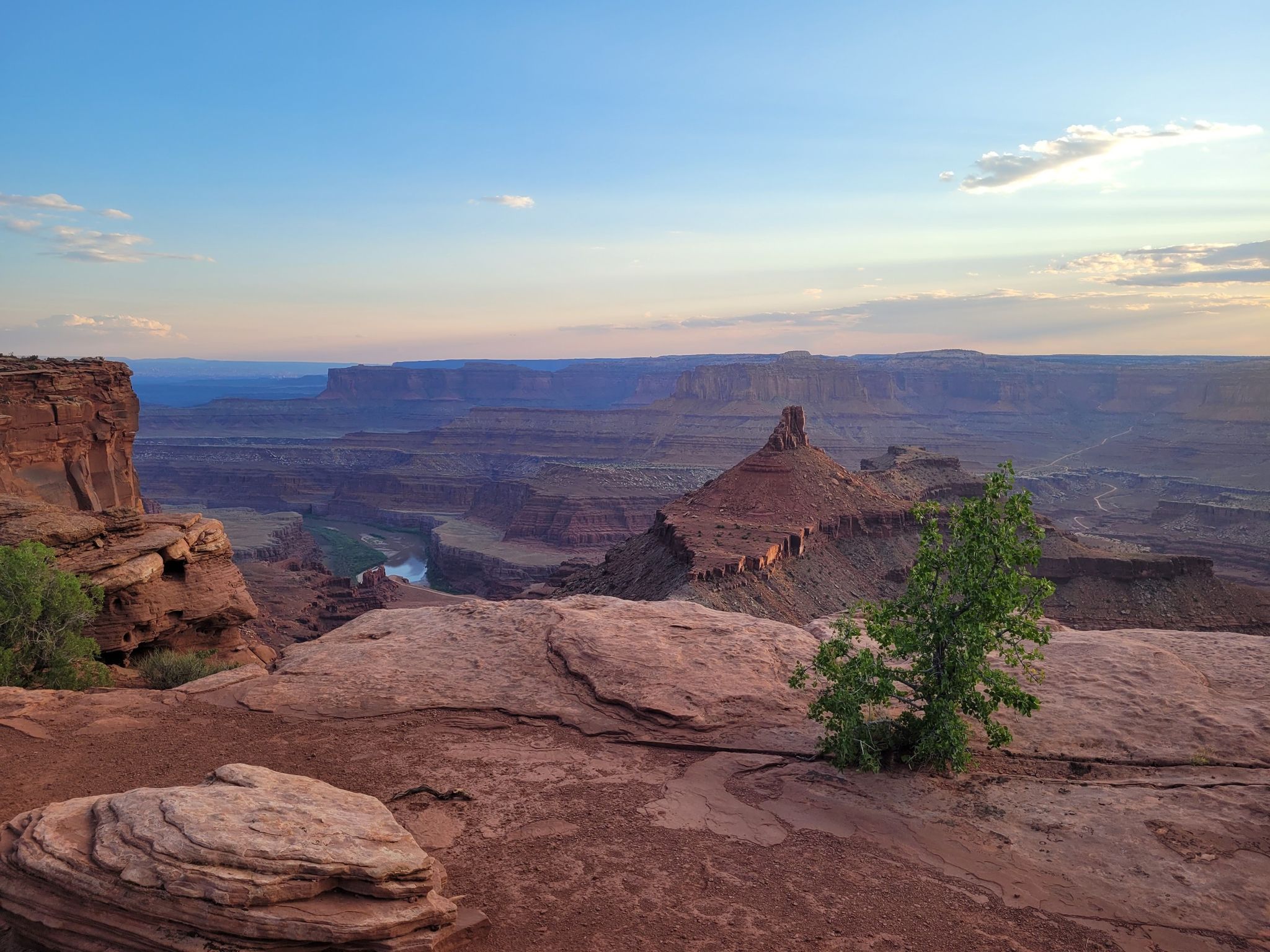 Canyon landscape at sunset with a winding river and a small green tree. - Shafer Canyon Overlook – Meander Overlook loop from Site 56