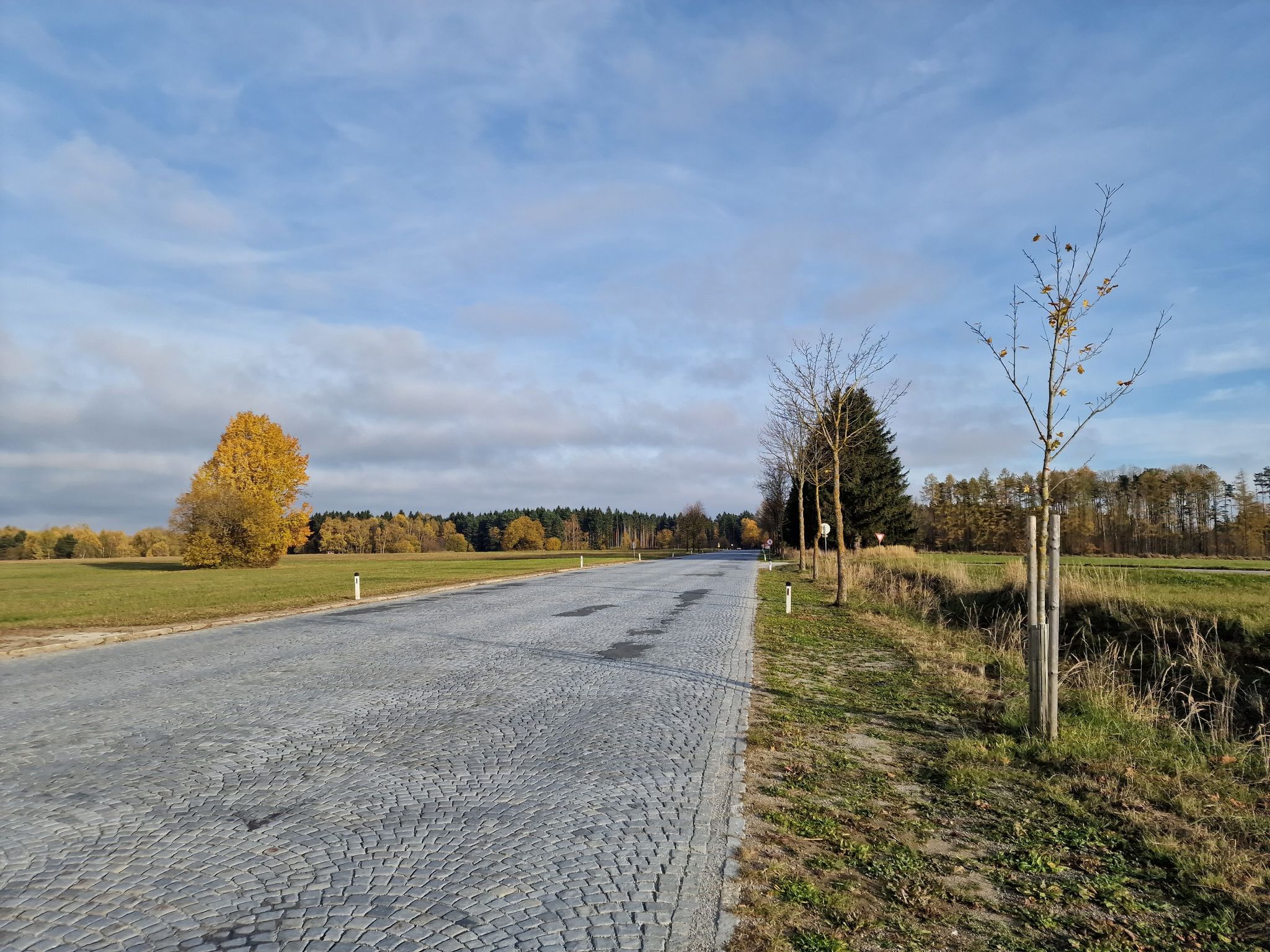 Eine der wenigen befahrbaren Straßen (auch noch der Knödelland Radweg) durch den Truppenübungsplatz Allentsteig.