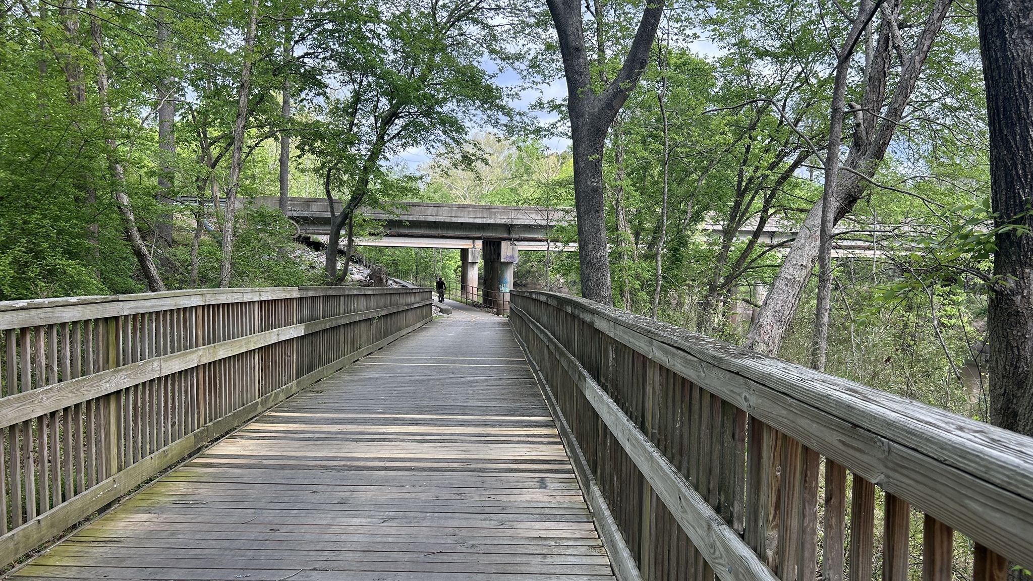 A person walks on a wooden boardwalk under a concrete bridge, surrounded by green trees. - Neuse River Pedestrian Bridge – Neuse River Greenway loop from Perry Creek Rd at Capital Blvd