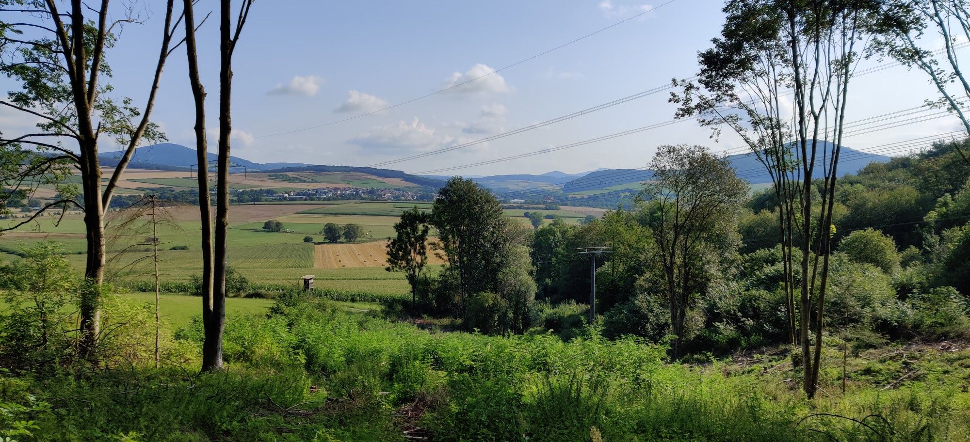 Blick auf Großentaft 