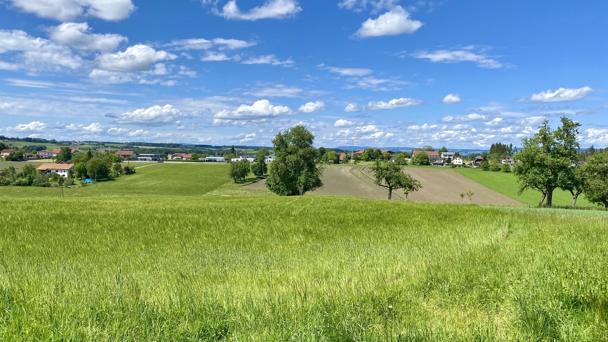 Blick von Gstocket auf Egg