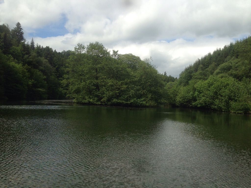Staindale Lake