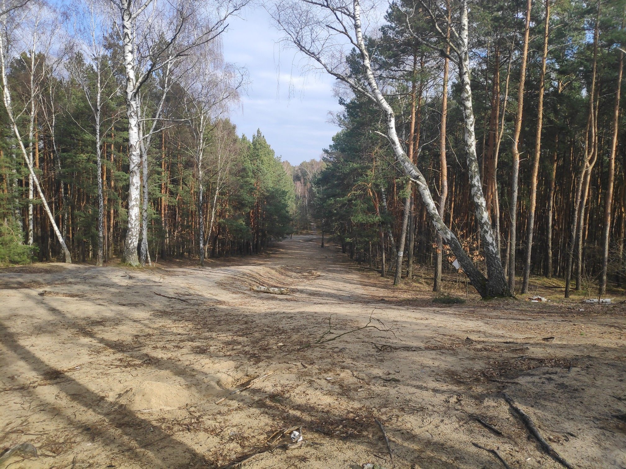 Path to the Top