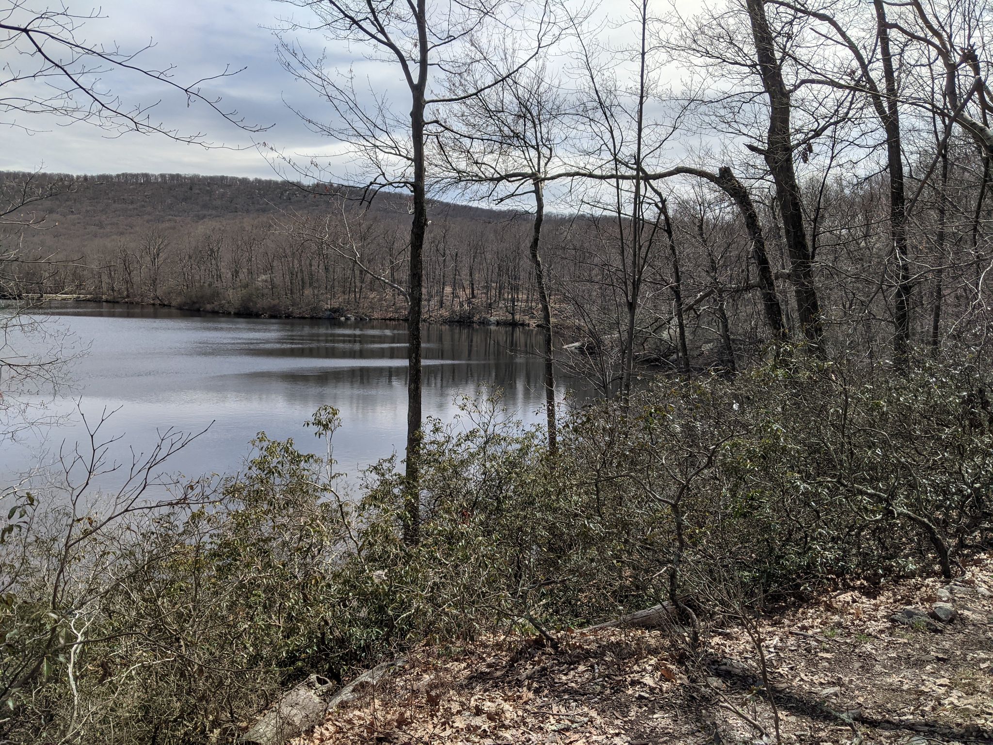 Calm lake surrounded by bare trees under an overcast sky. - Dutch Doctor Shelter Loop