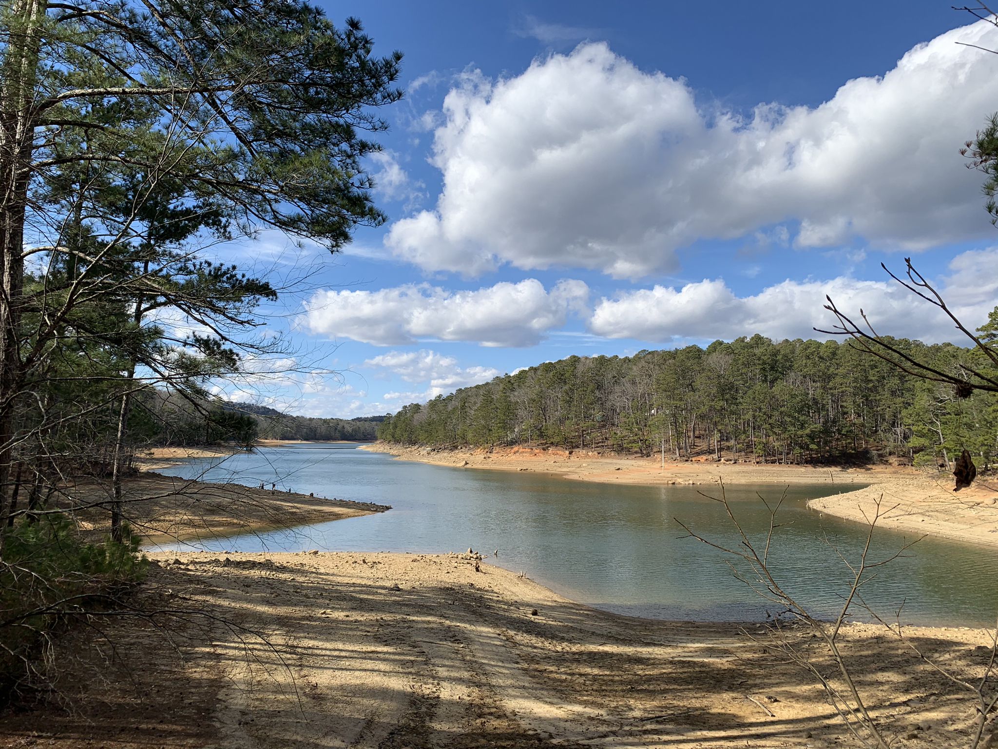 Wide view of a lake with sandy shores under a bright, cloudy sky. - Sweet Gum, Homestead and Iron Hill Trail