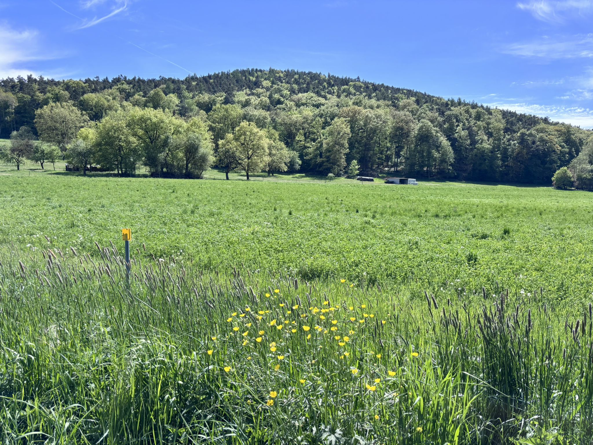 Der Busgberg von hinten - Toller Tag - Tolle Tour - Tolle Begleitung 😍