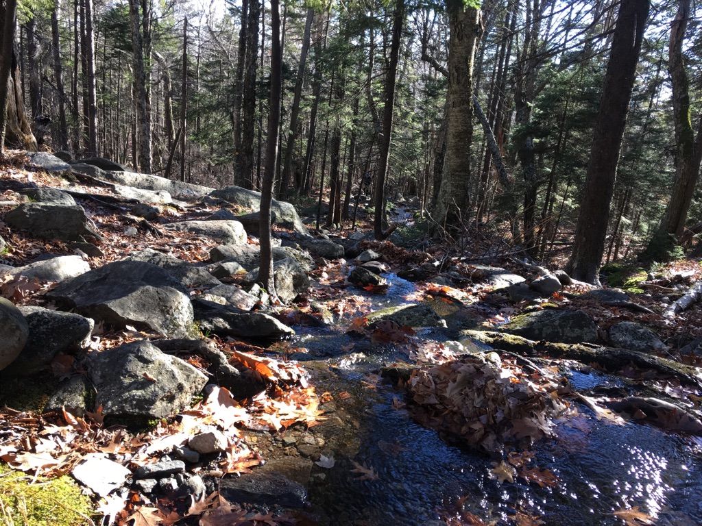 Rocky stream flowing through a sun-dappled forest with fallen leaves. - Cascade Link Trail