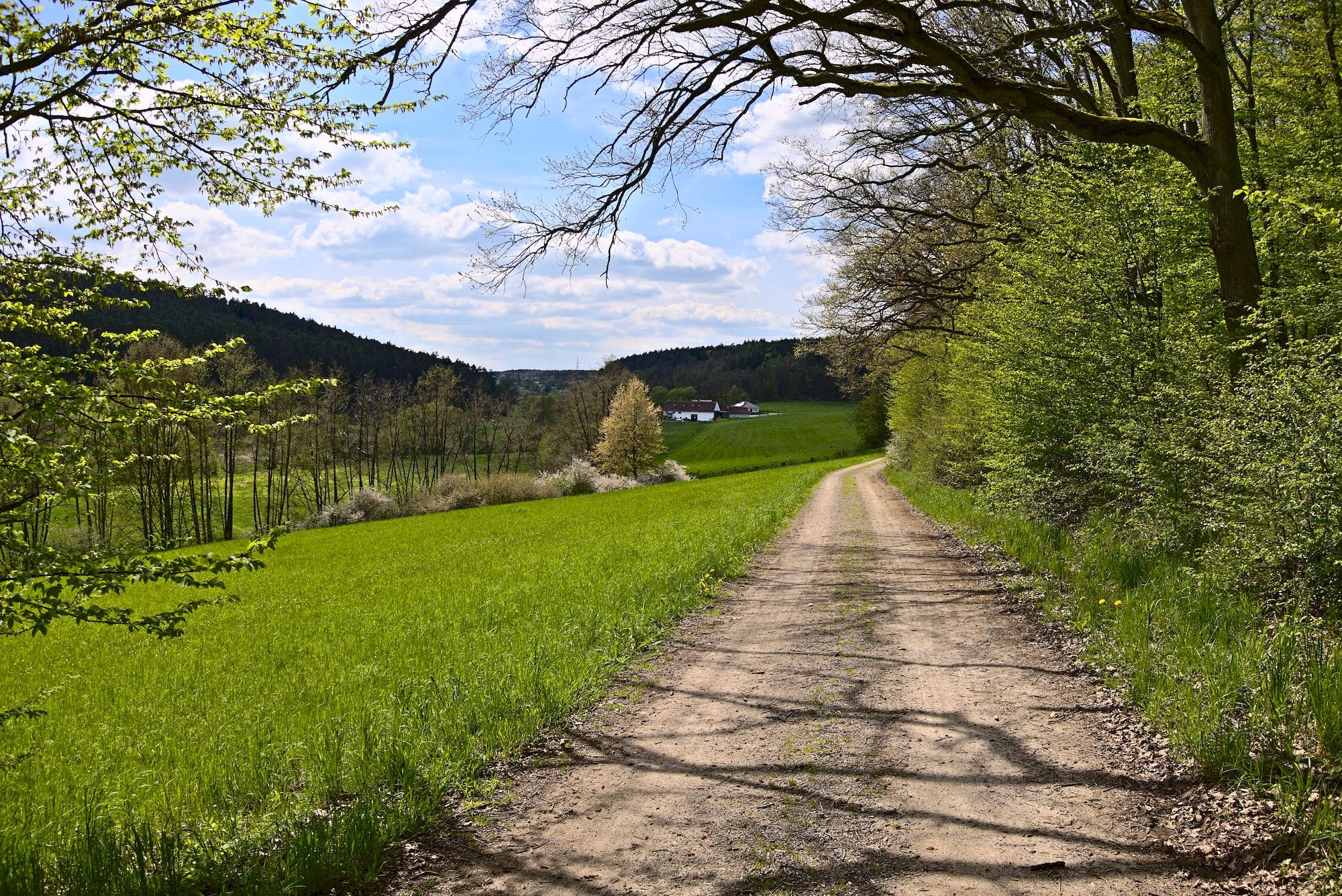 Der wohl schönste Streckenabschnitt von Finkenmühle nach Holzmühle