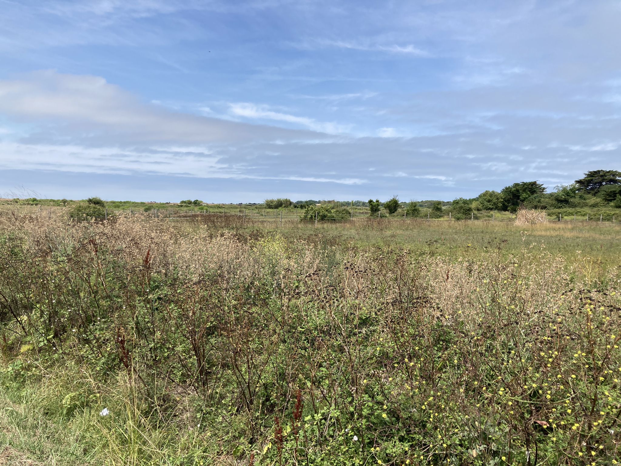 Weite Landschaft…