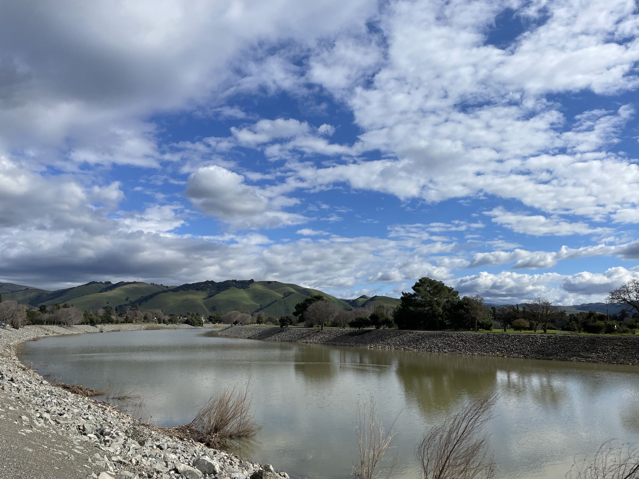 Calm water reflects a bright, cloudy blue sky with green hills beyond. - Shinn Pond and San Francisco Bay Trail